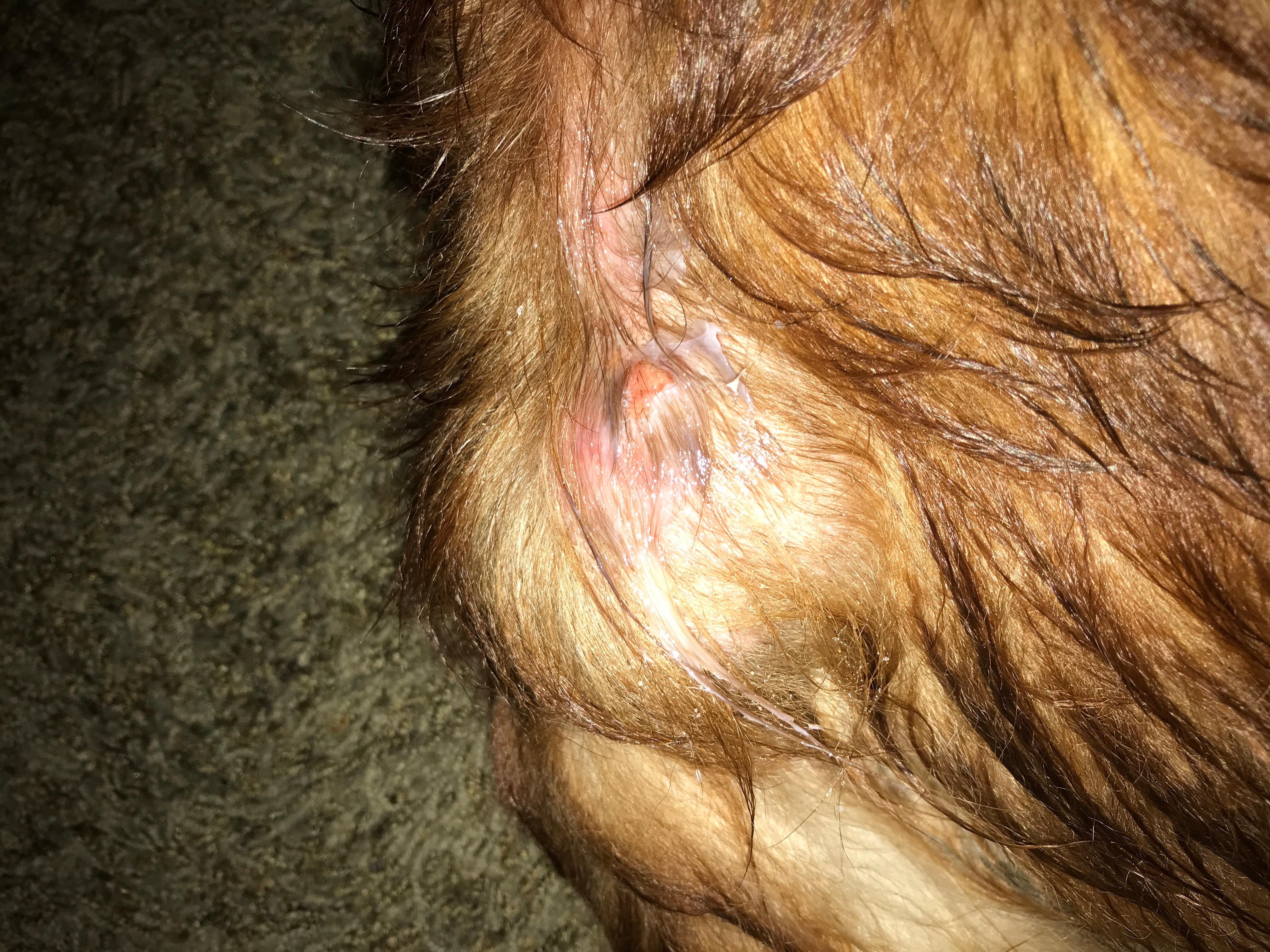 Question details sensitive content