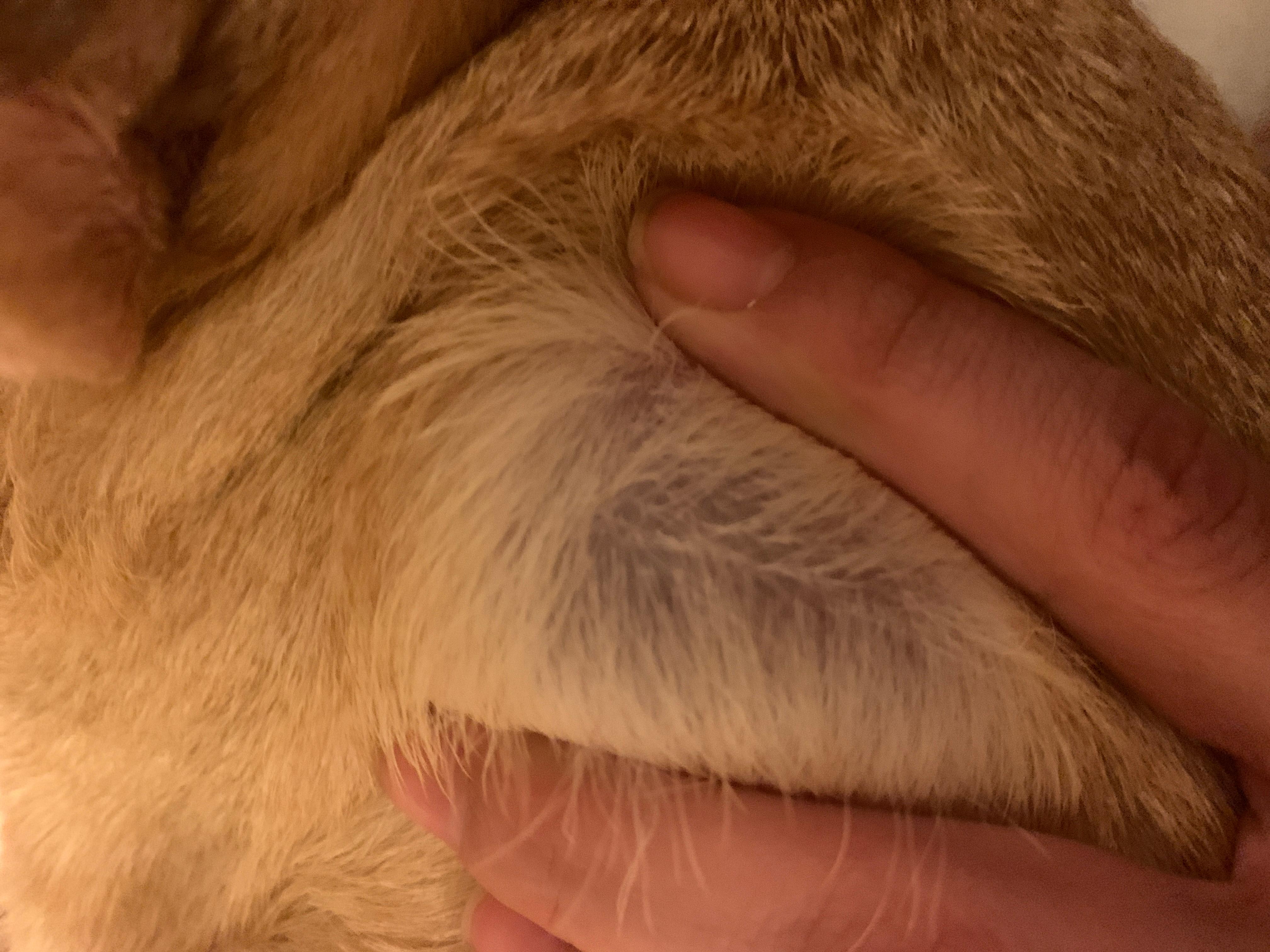 Question details sensitive content