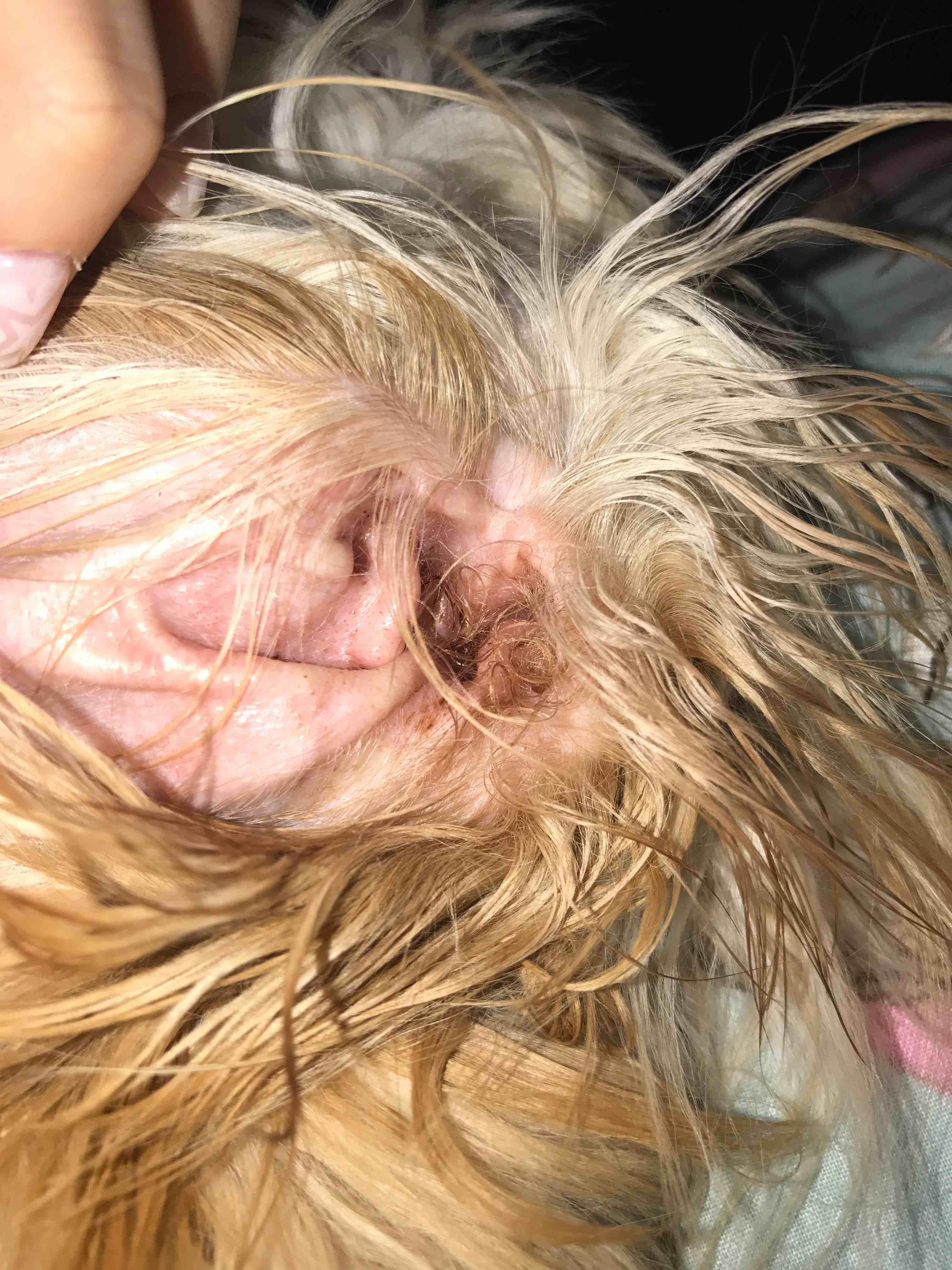 Question details sensitive content