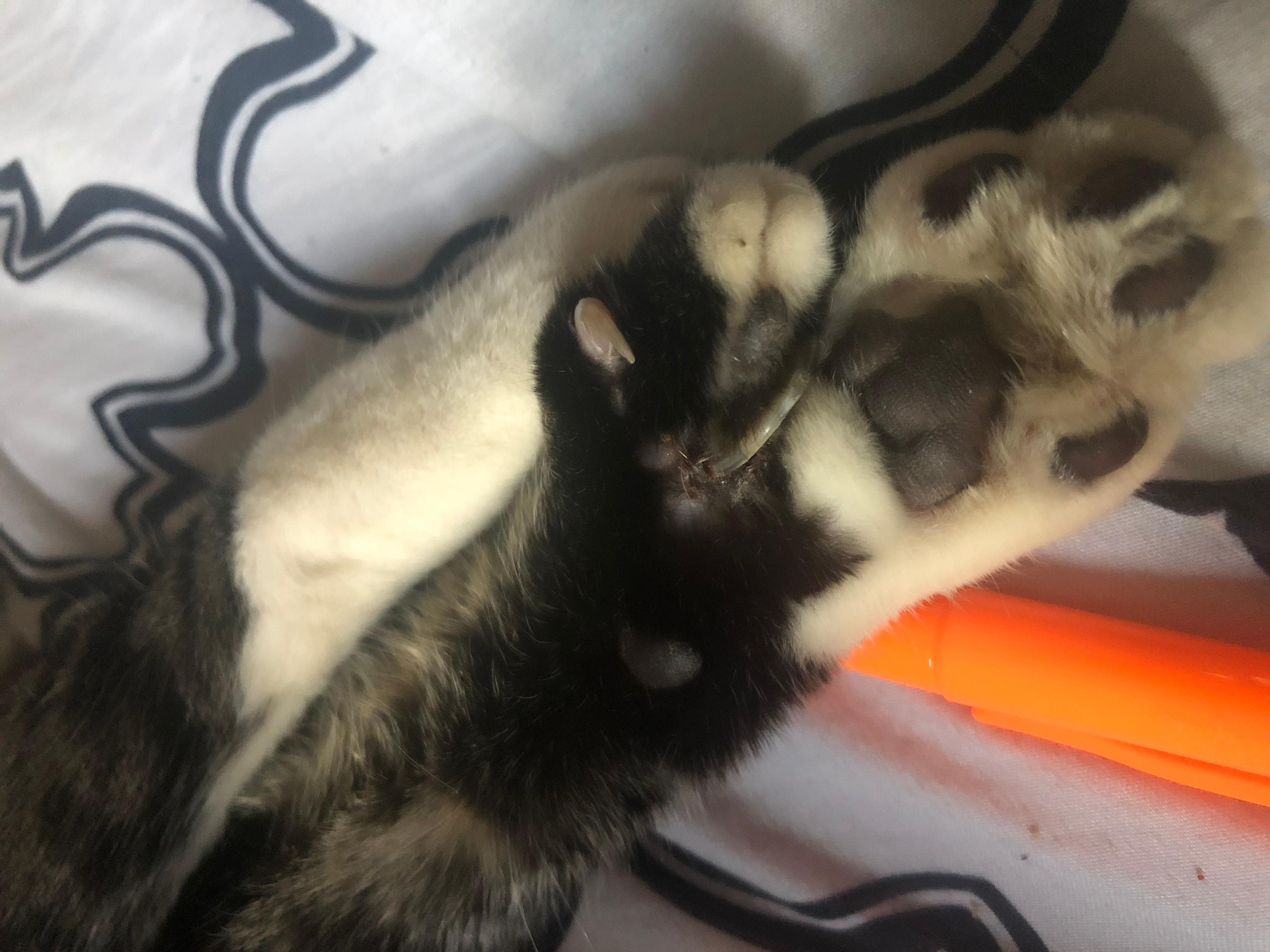 Question details sensitive content