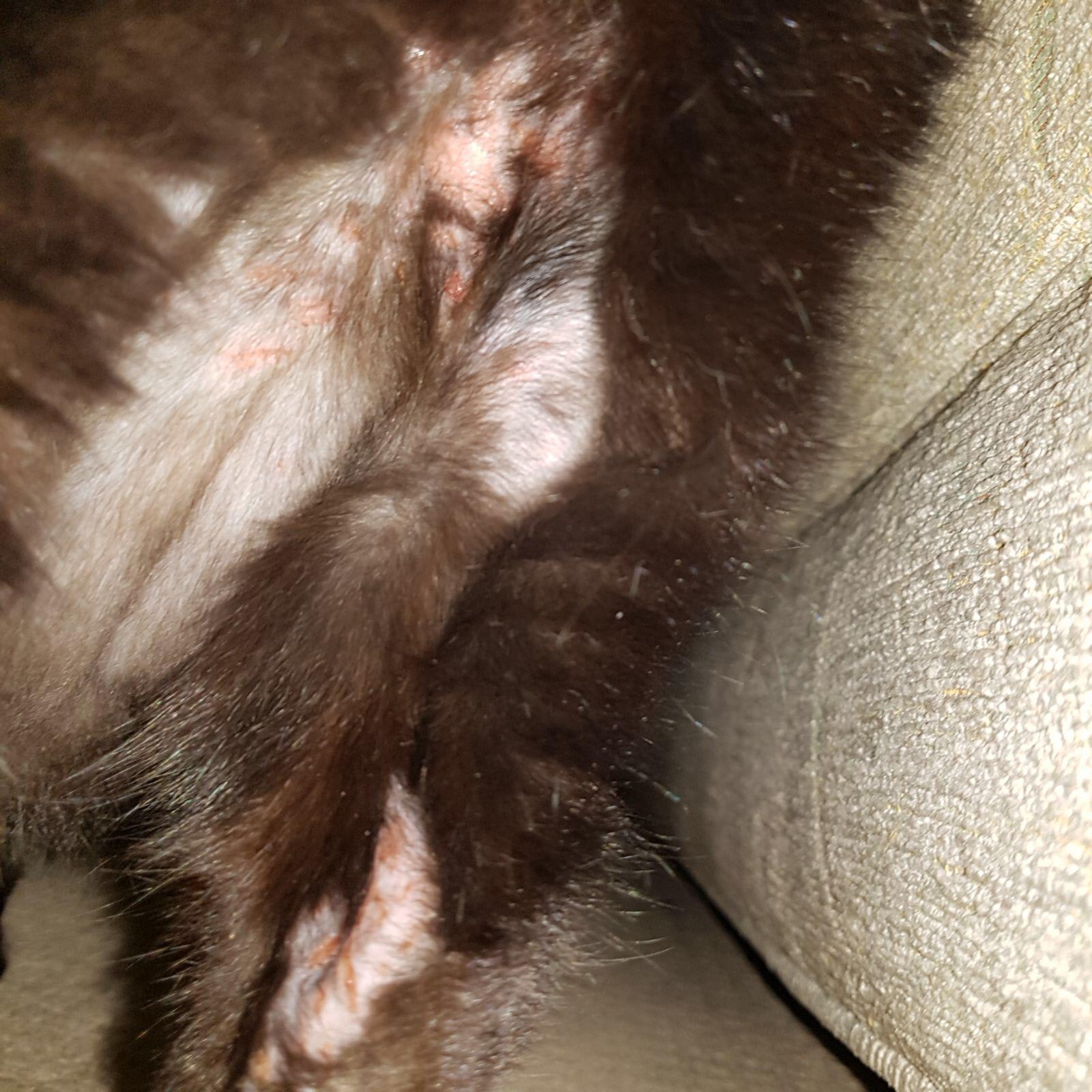 Question details sensitive content