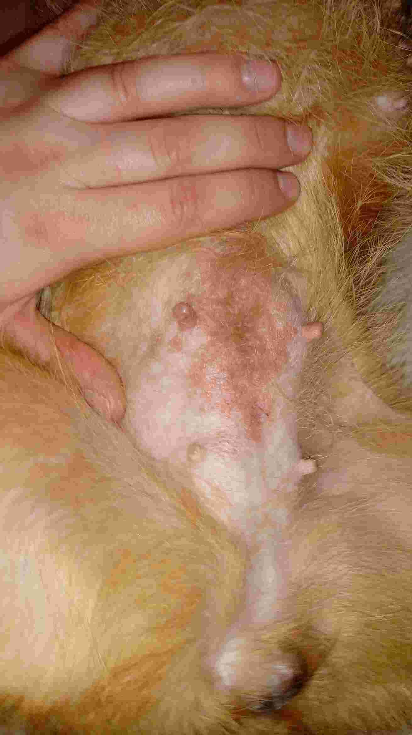 Question details sensitive content