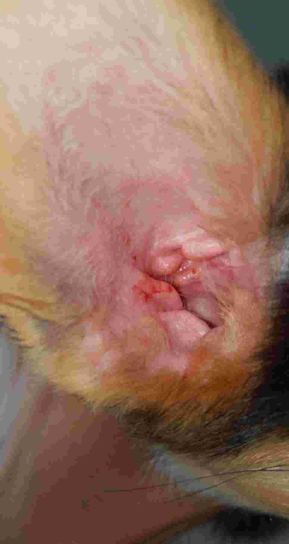 Question details sensitive content