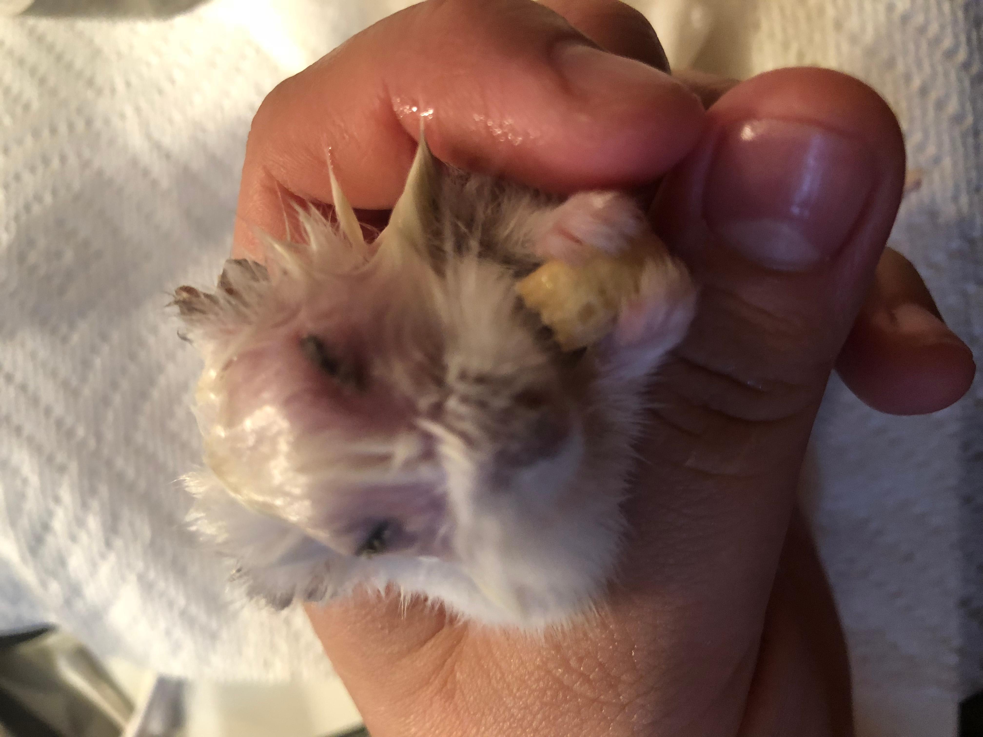 Question details sensitive content