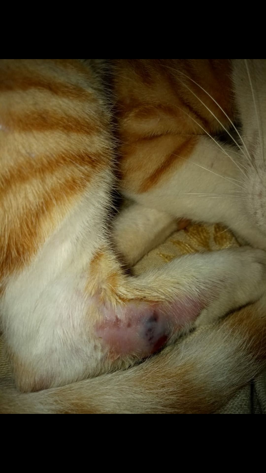 Question details sensitive content