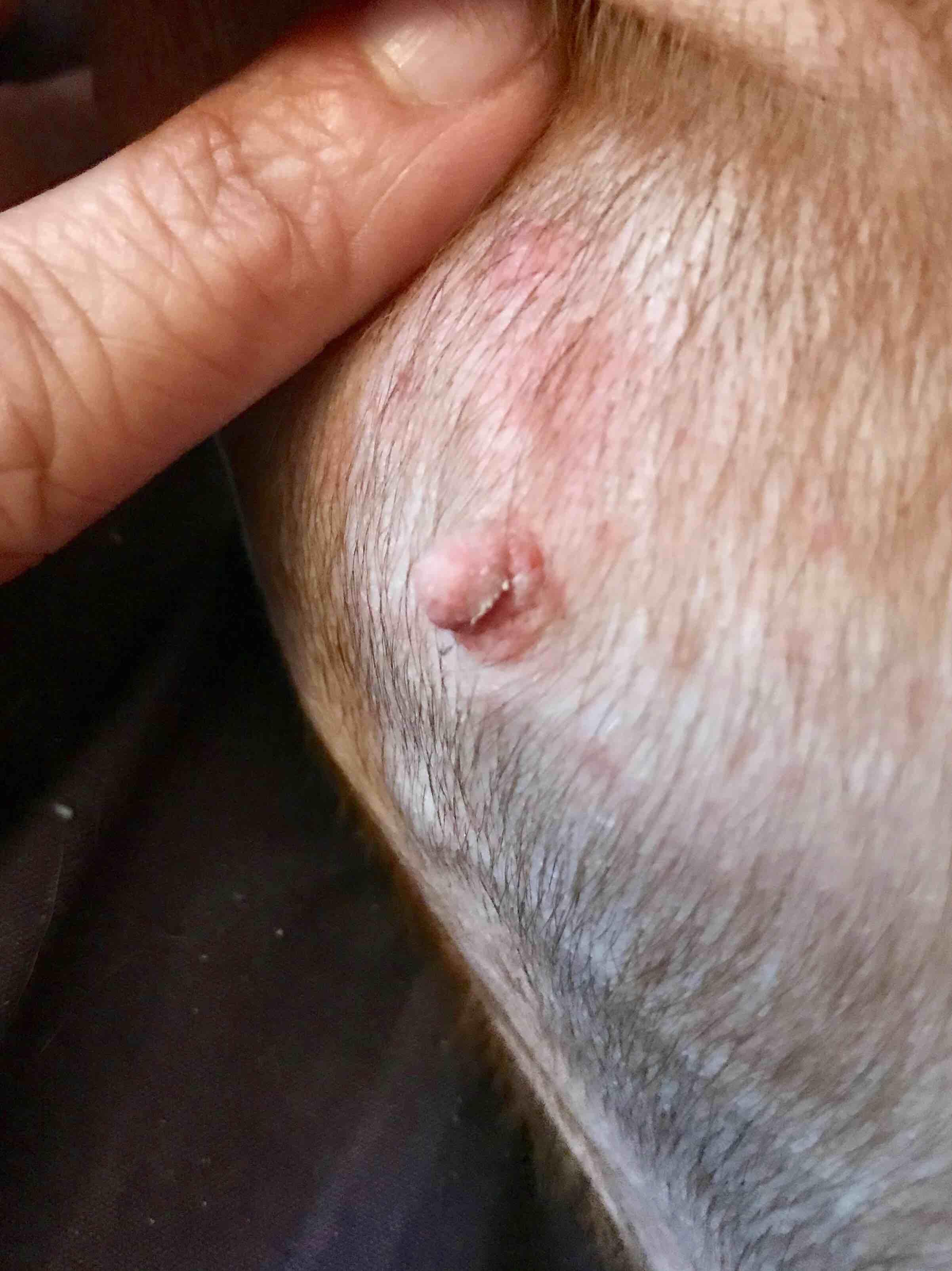 Question details sensitive content