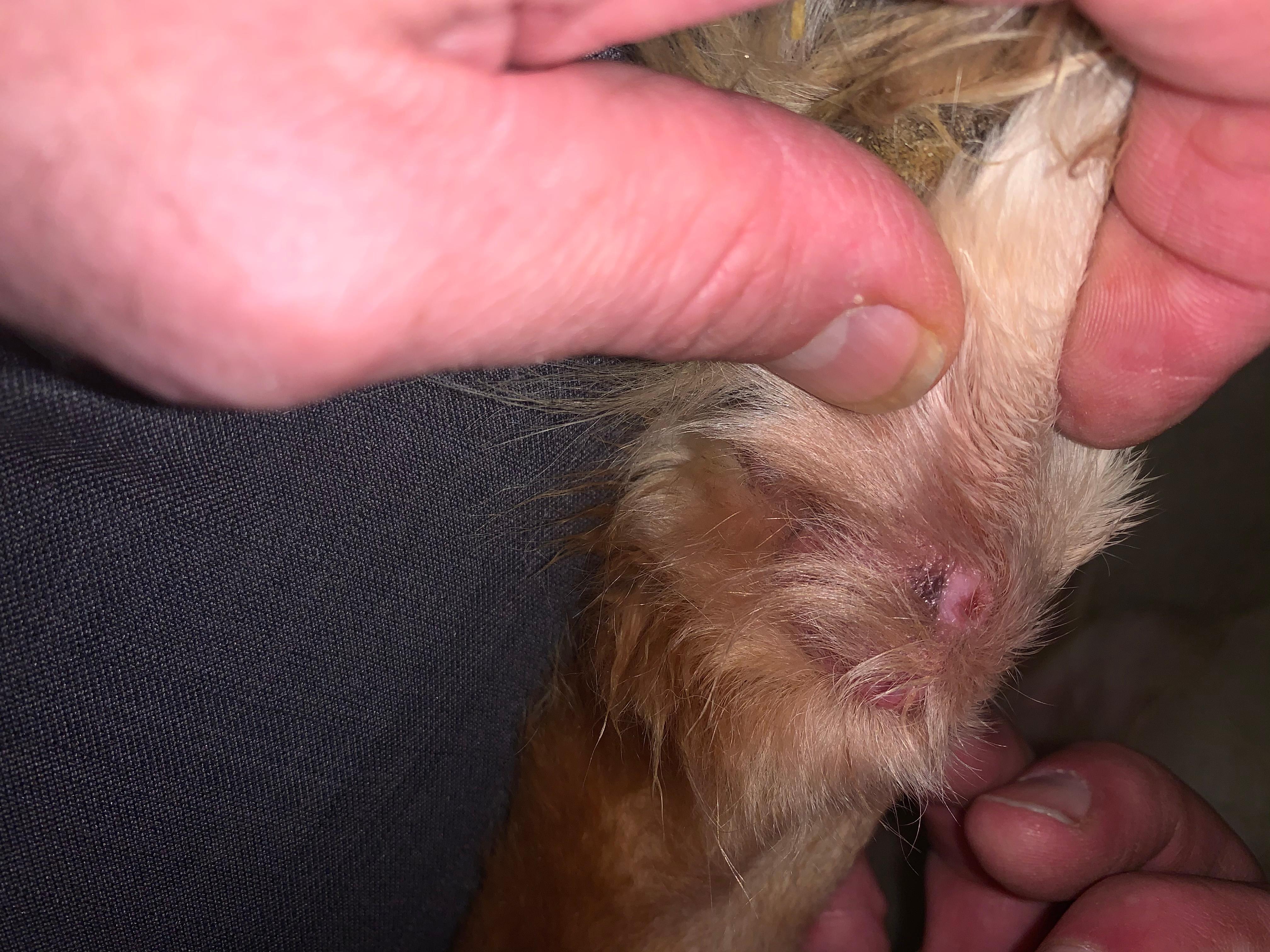 Question details sensitive content