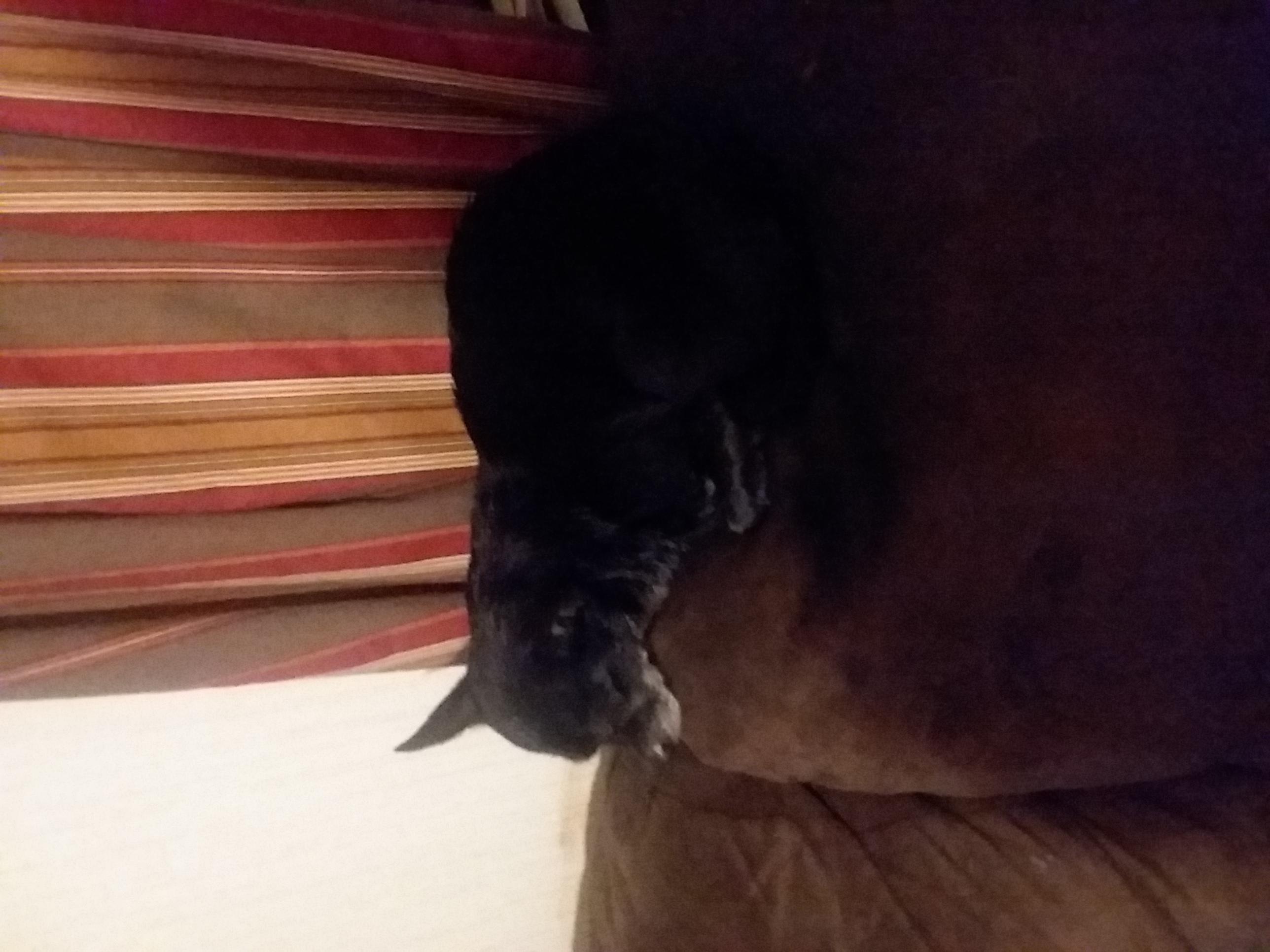 Question details sensitive content