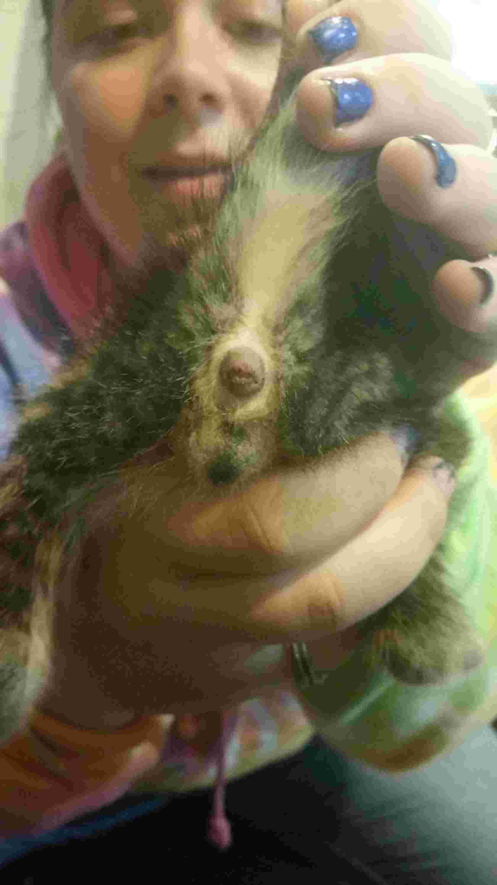 Question details sensitive content