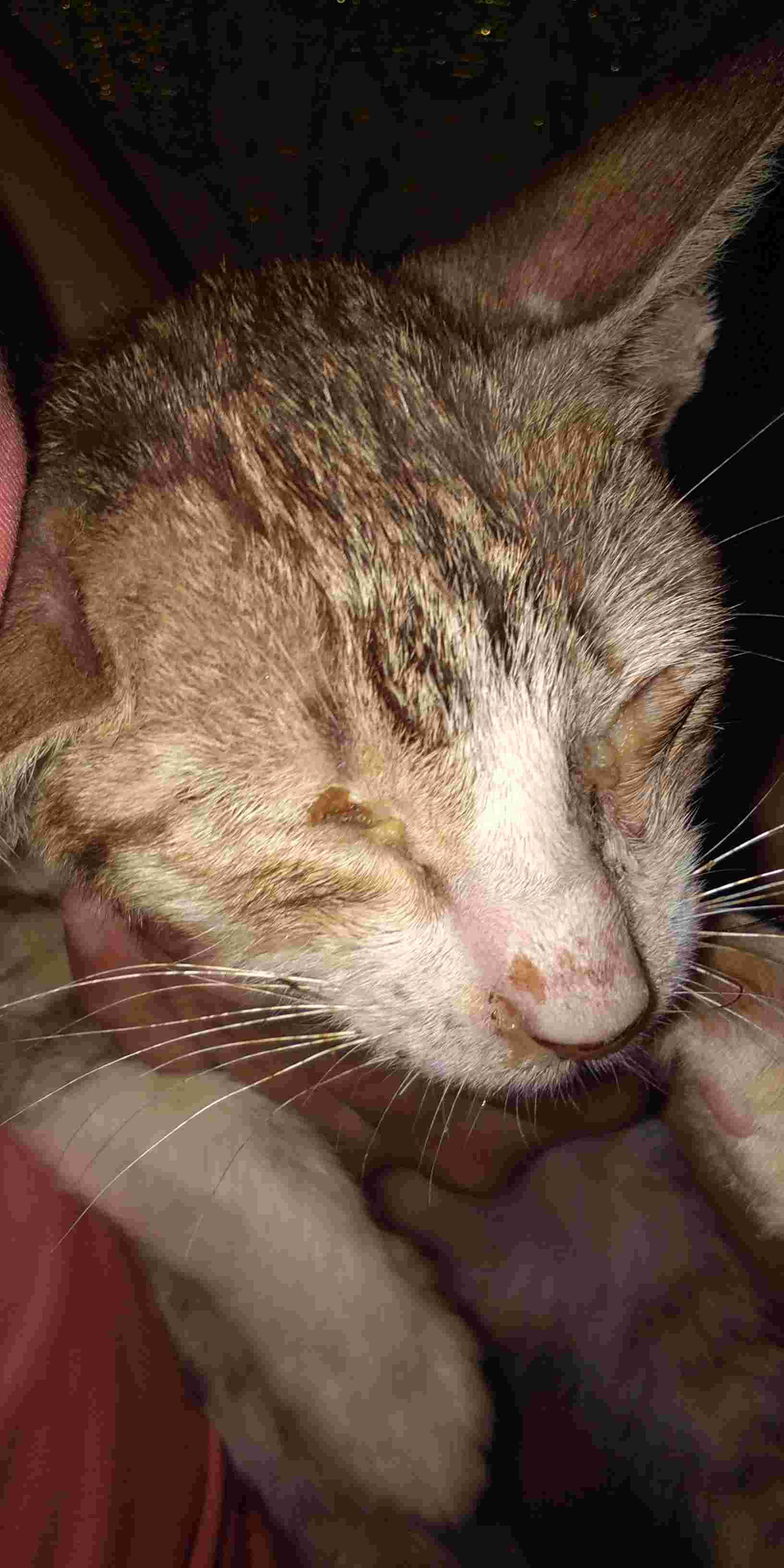 Question details sensitive content