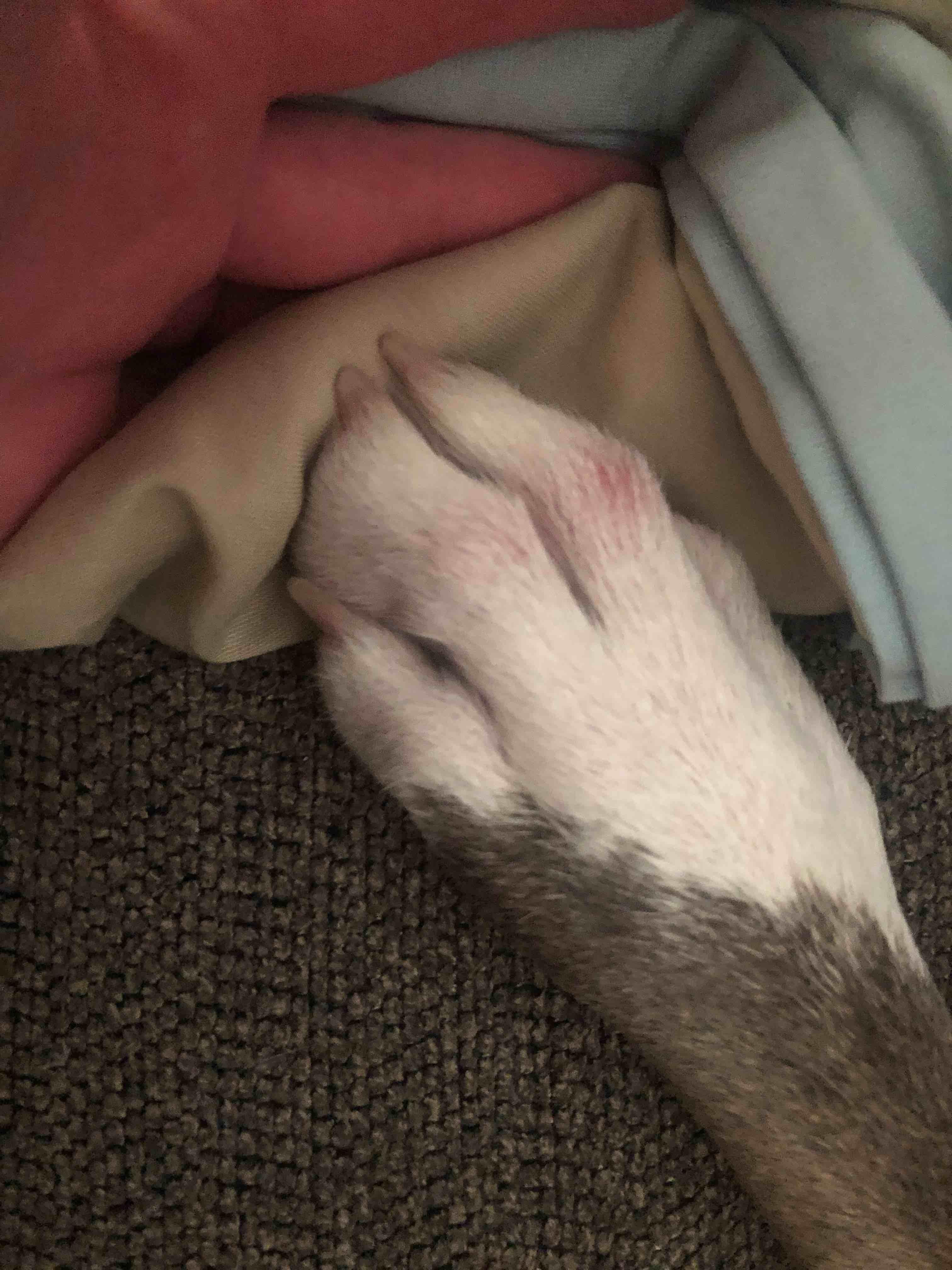 Question details sensitive content