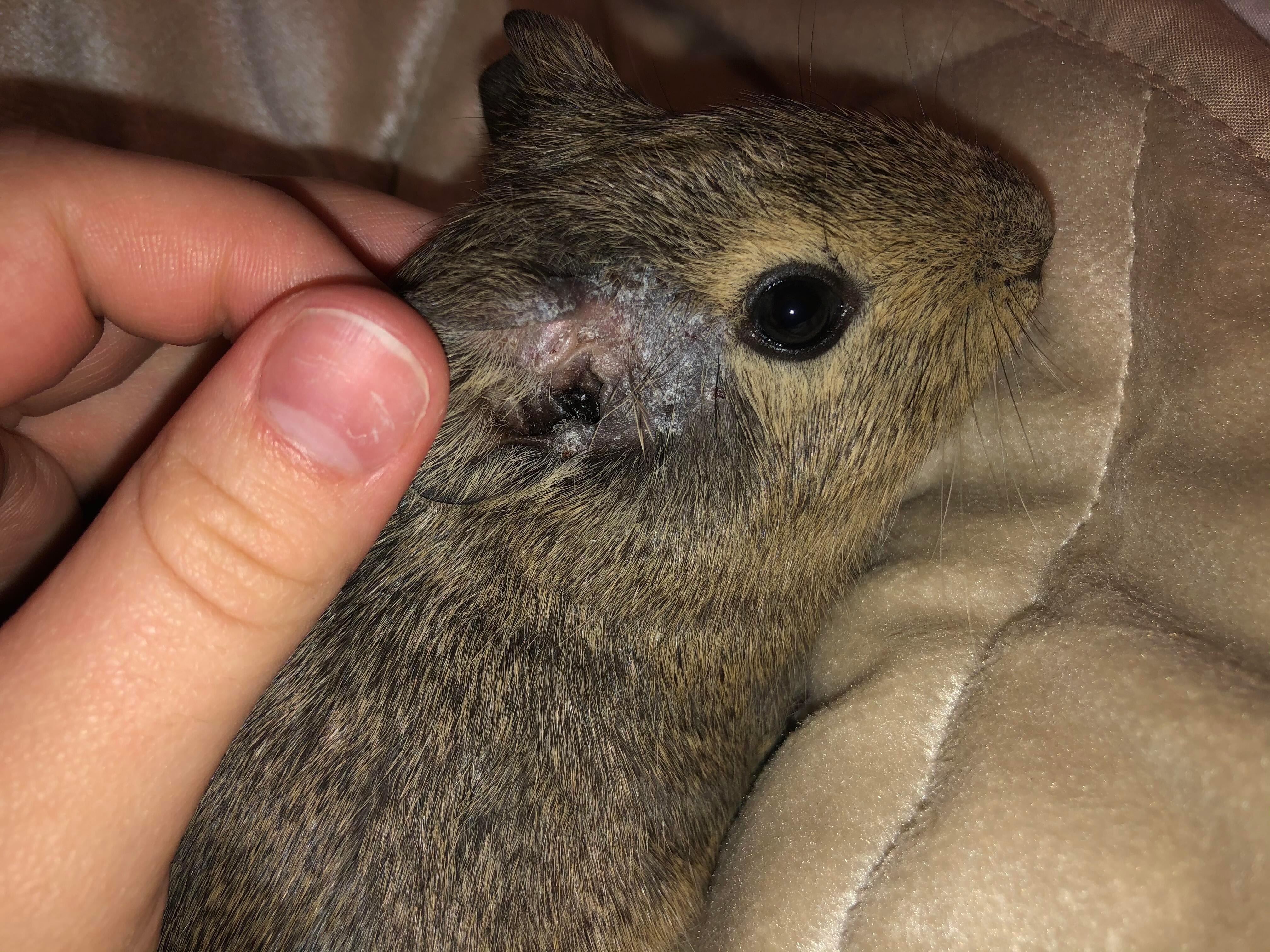 Question details sensitive content