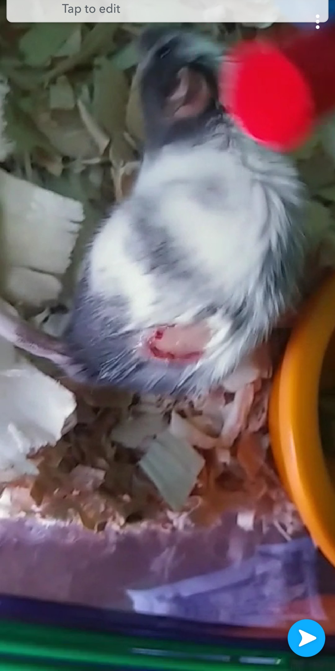 Question details sensitive content