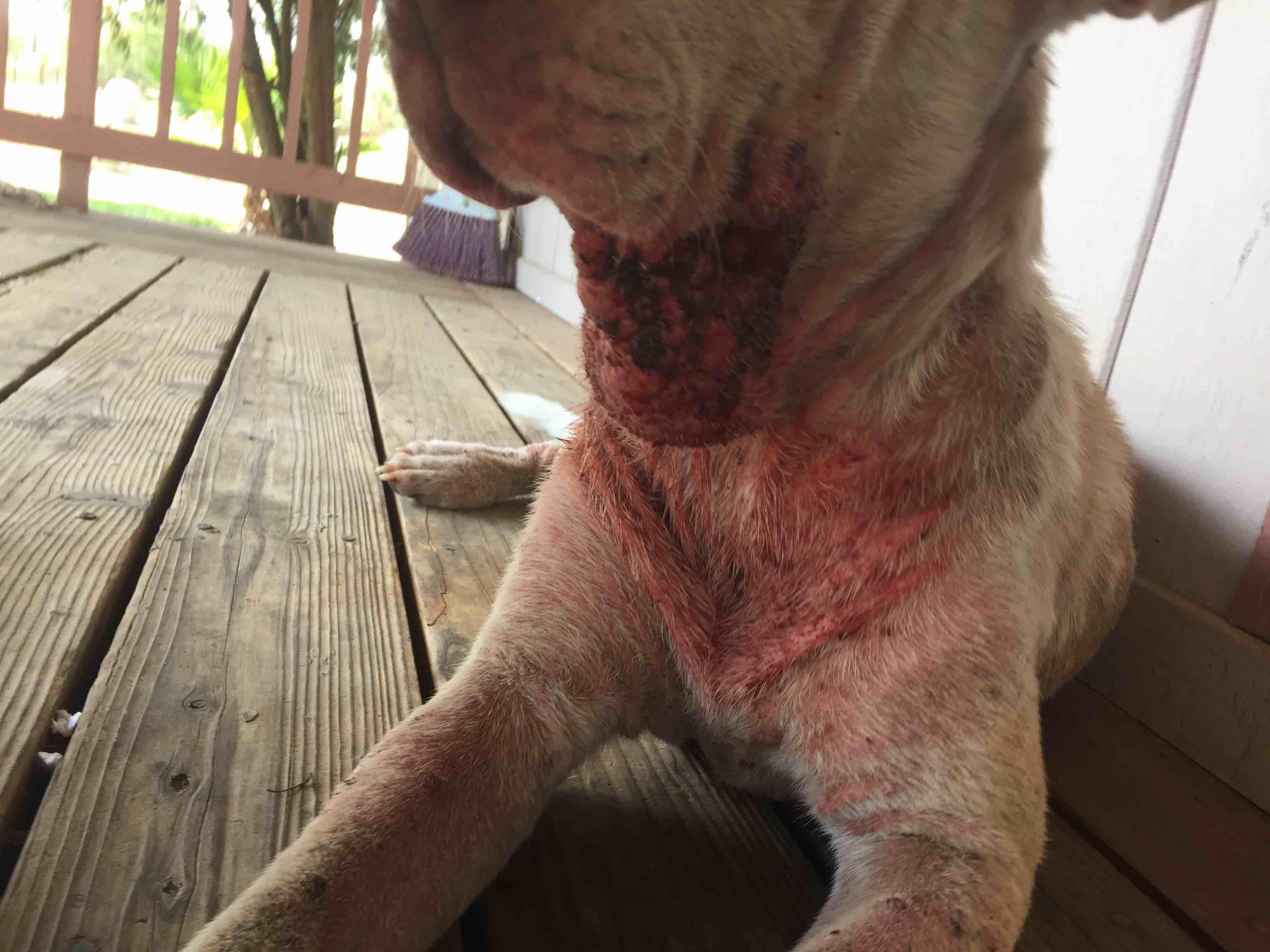 Question details sensitive content