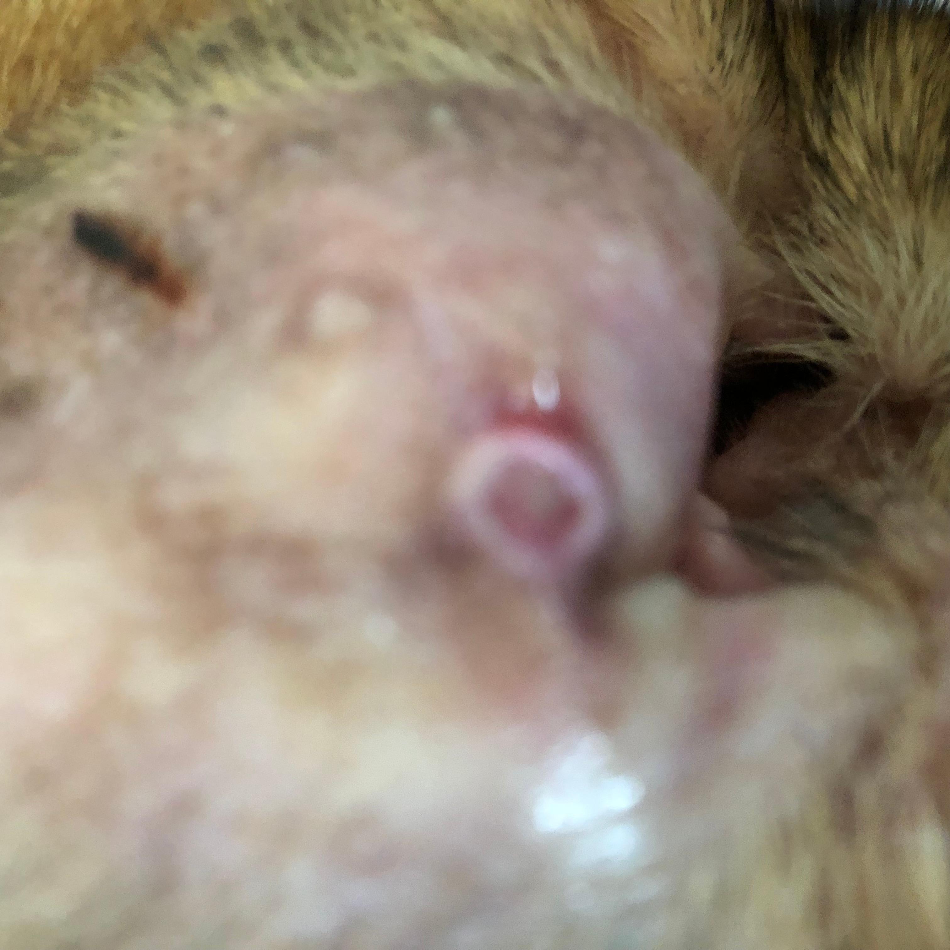 Question details sensitive content