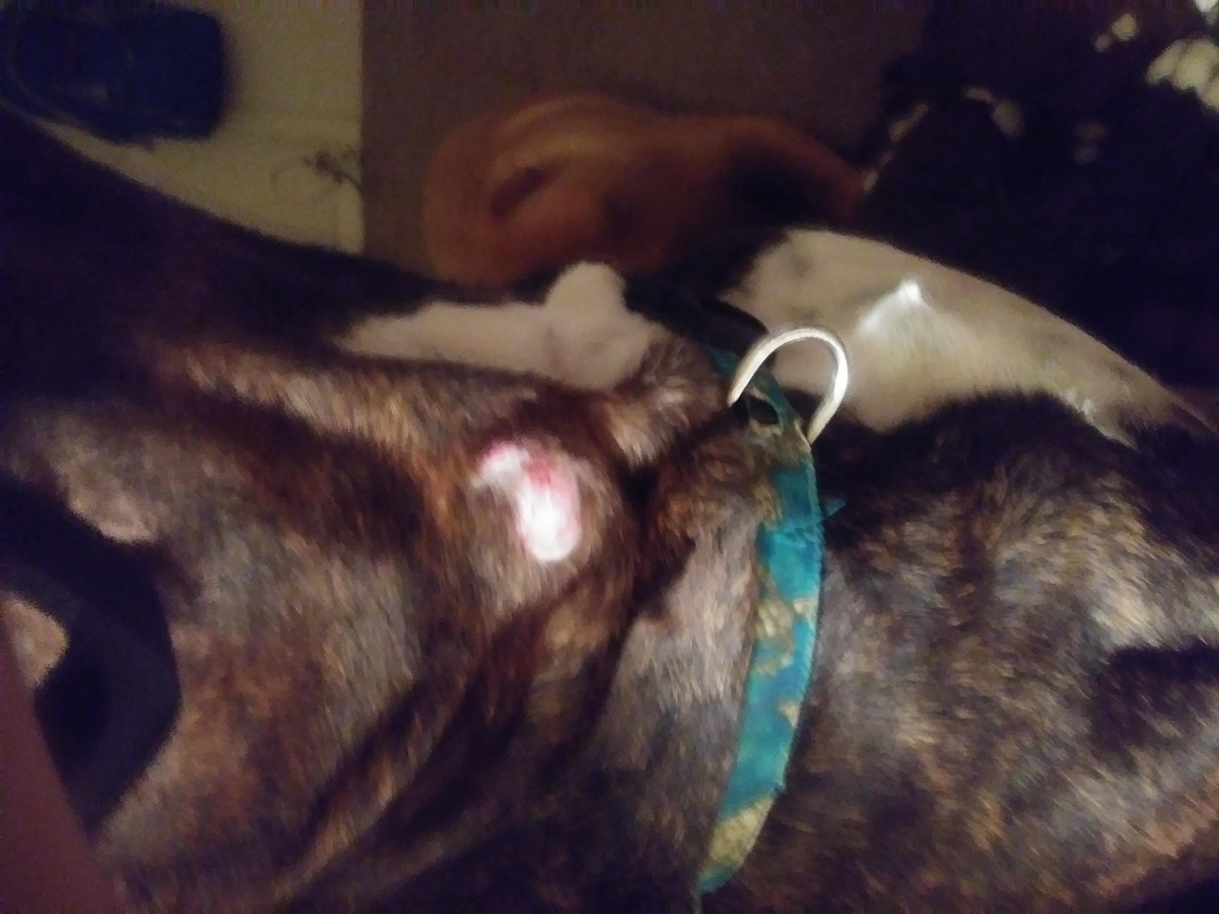 Question details sensitive content