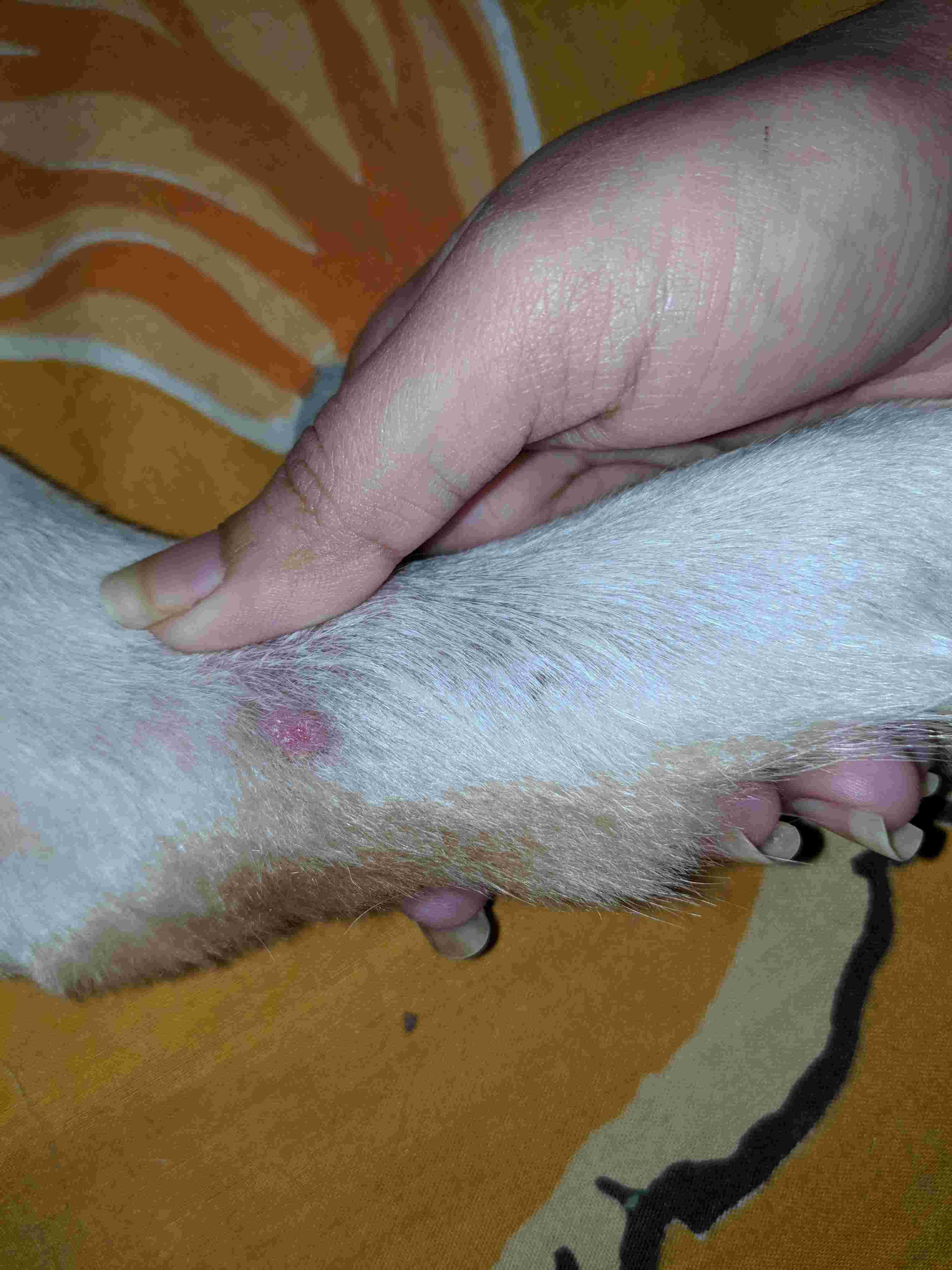 Question details sensitive content