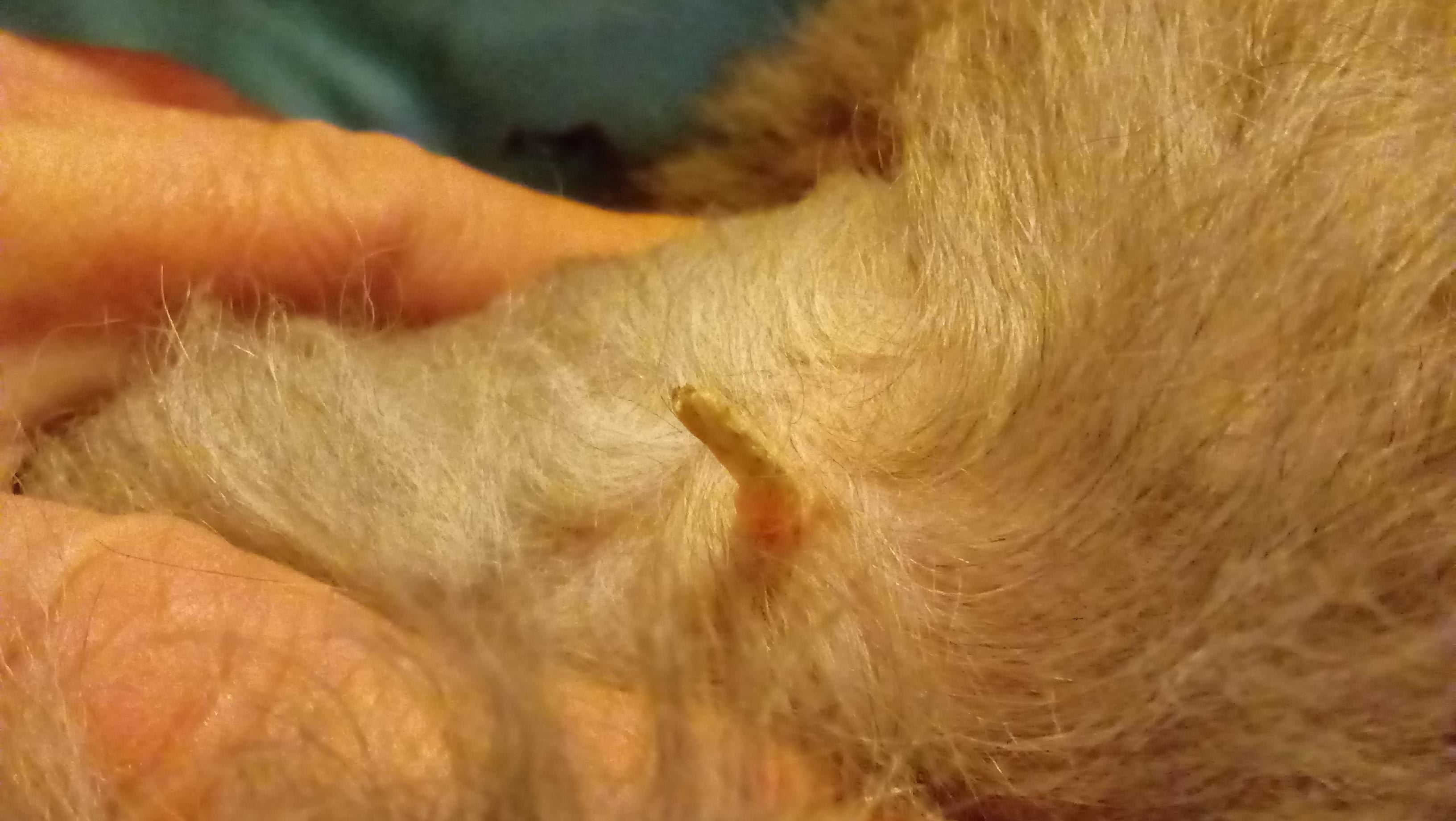 Question details sensitive content