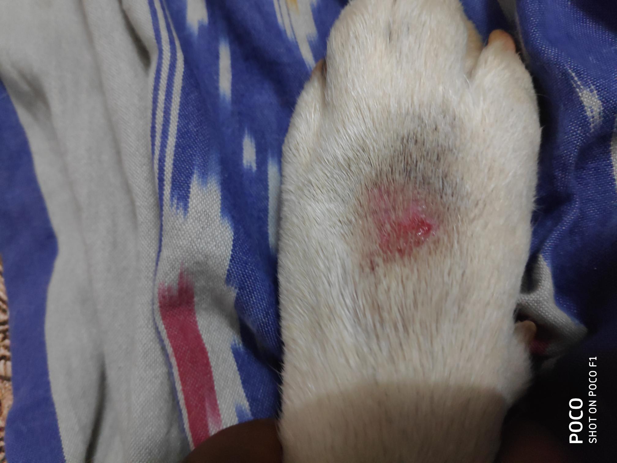 Question details sensitive content