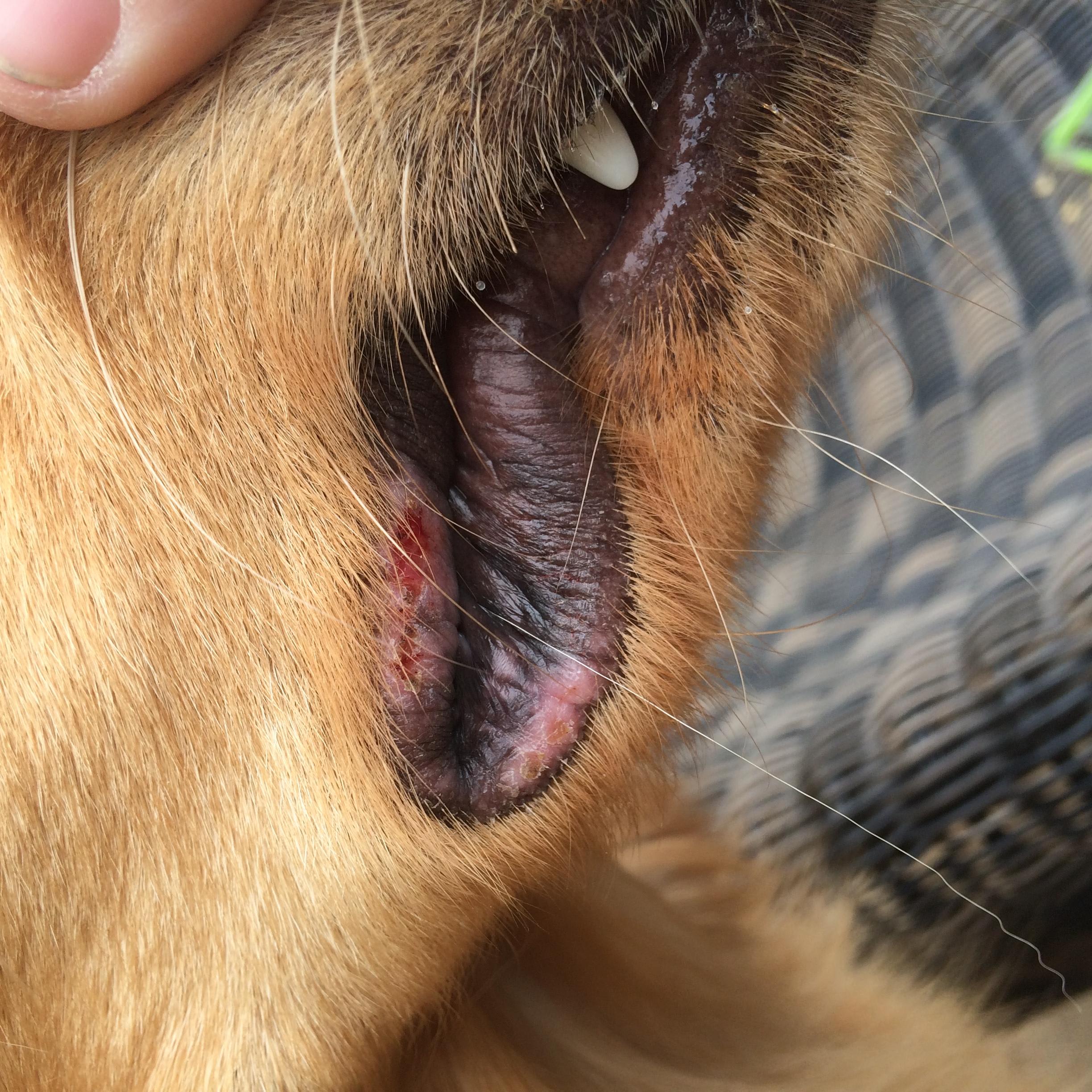 Question details sensitive content