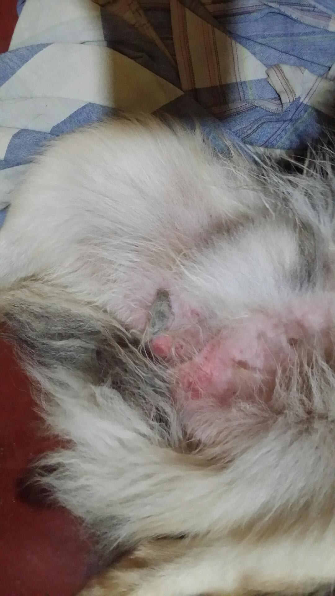 Question details sensitive content