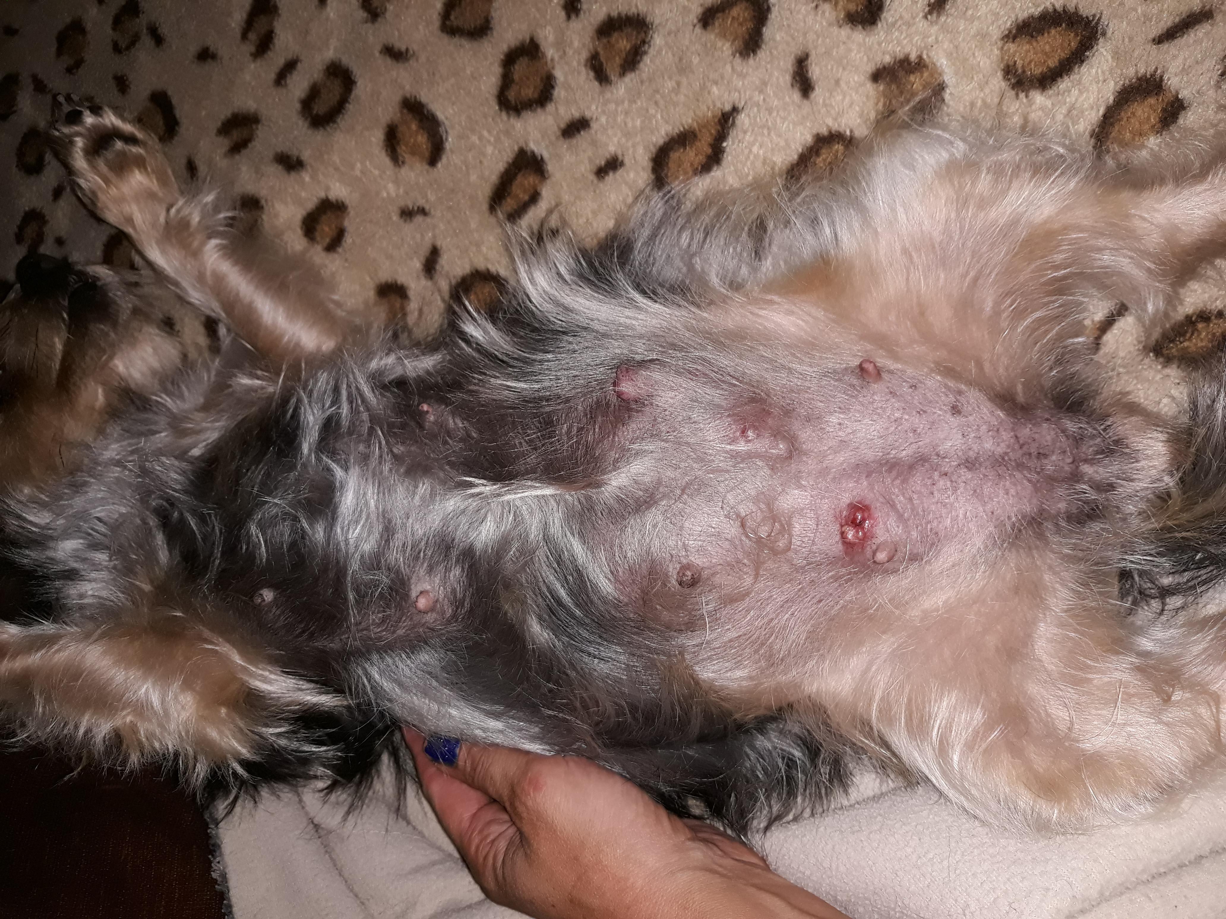 Question details sensitive content