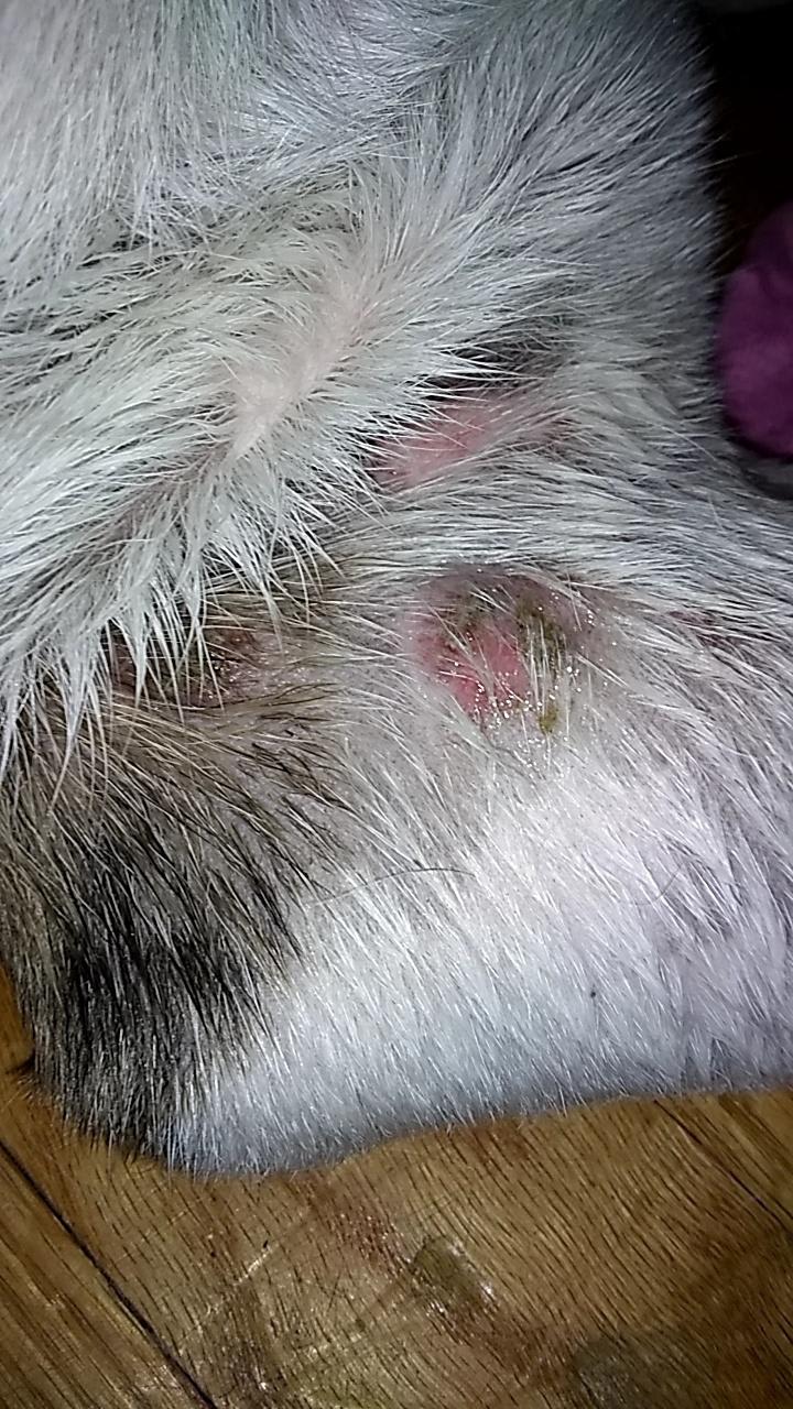 Question details sensitive content