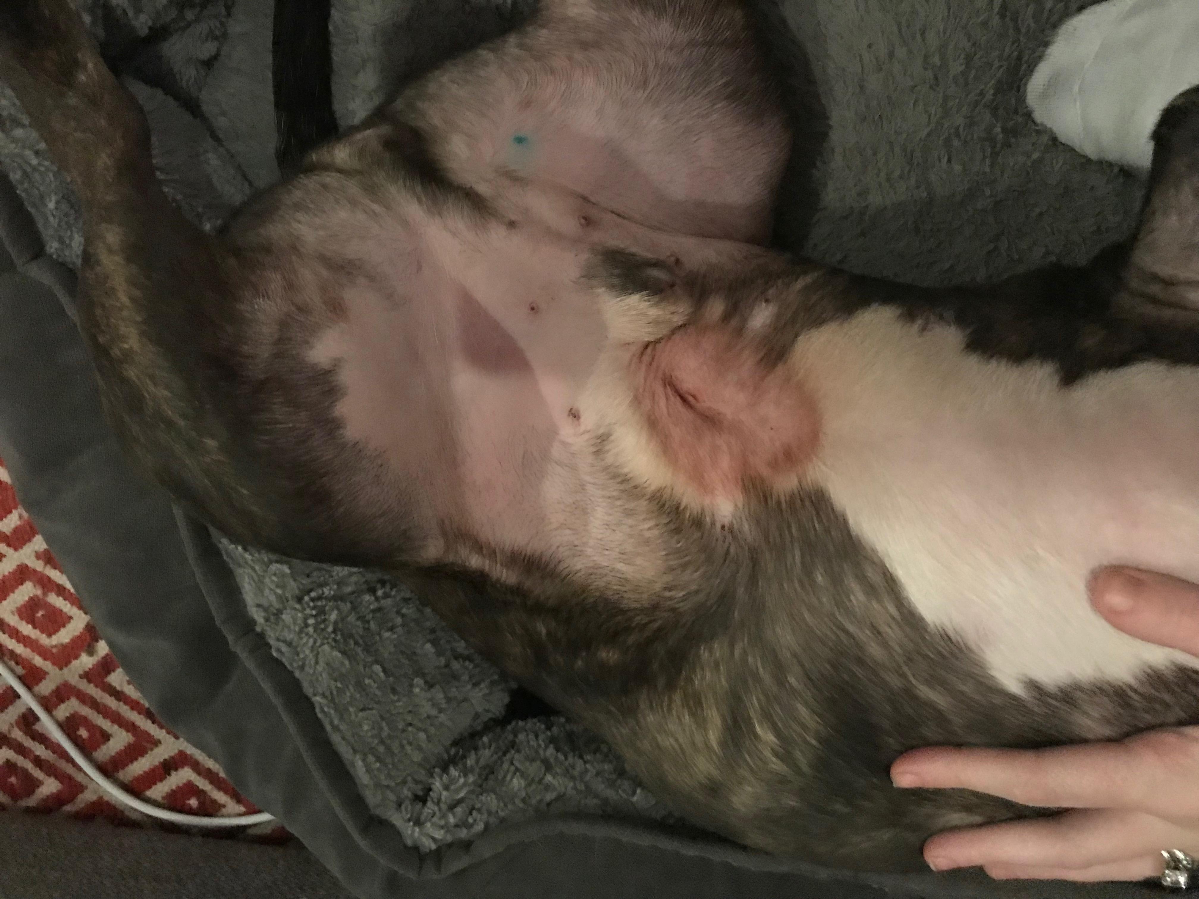 Question details sensitive content