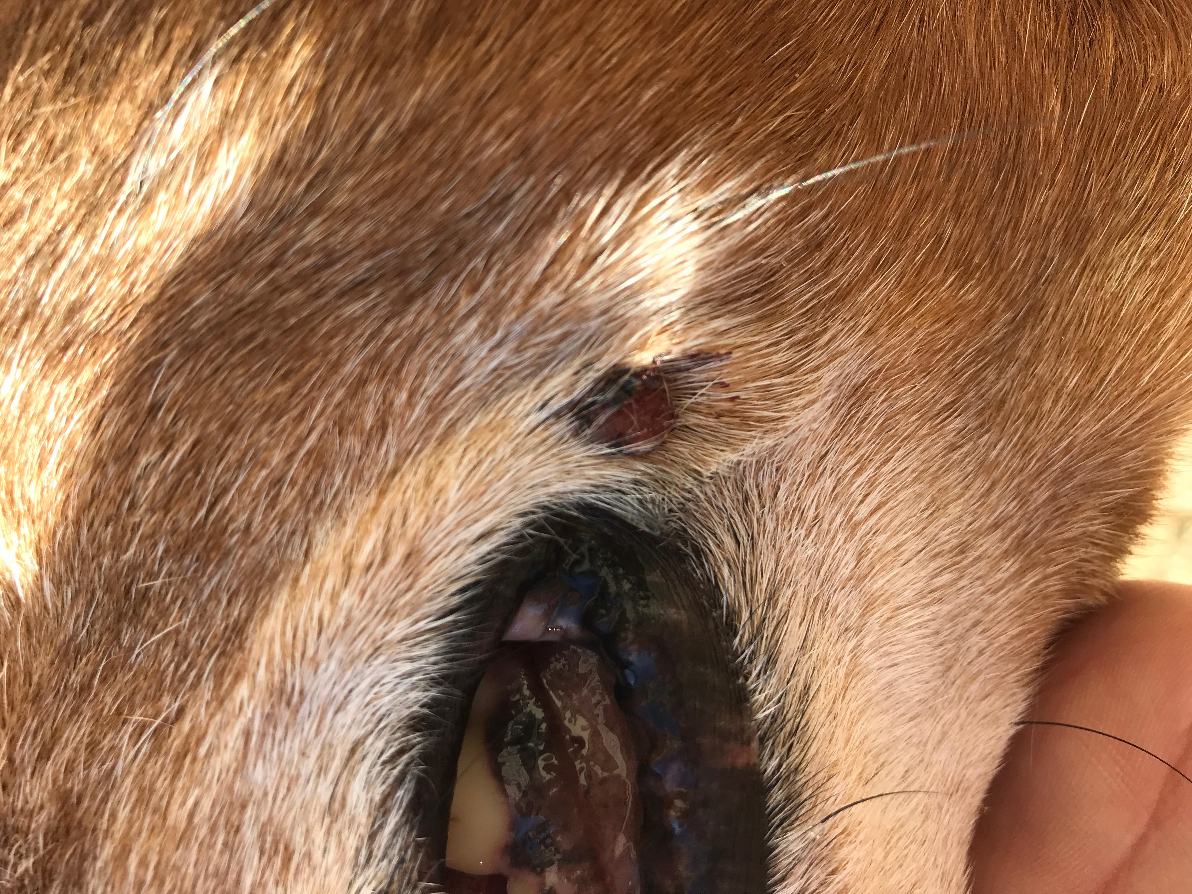 Question details sensitive content