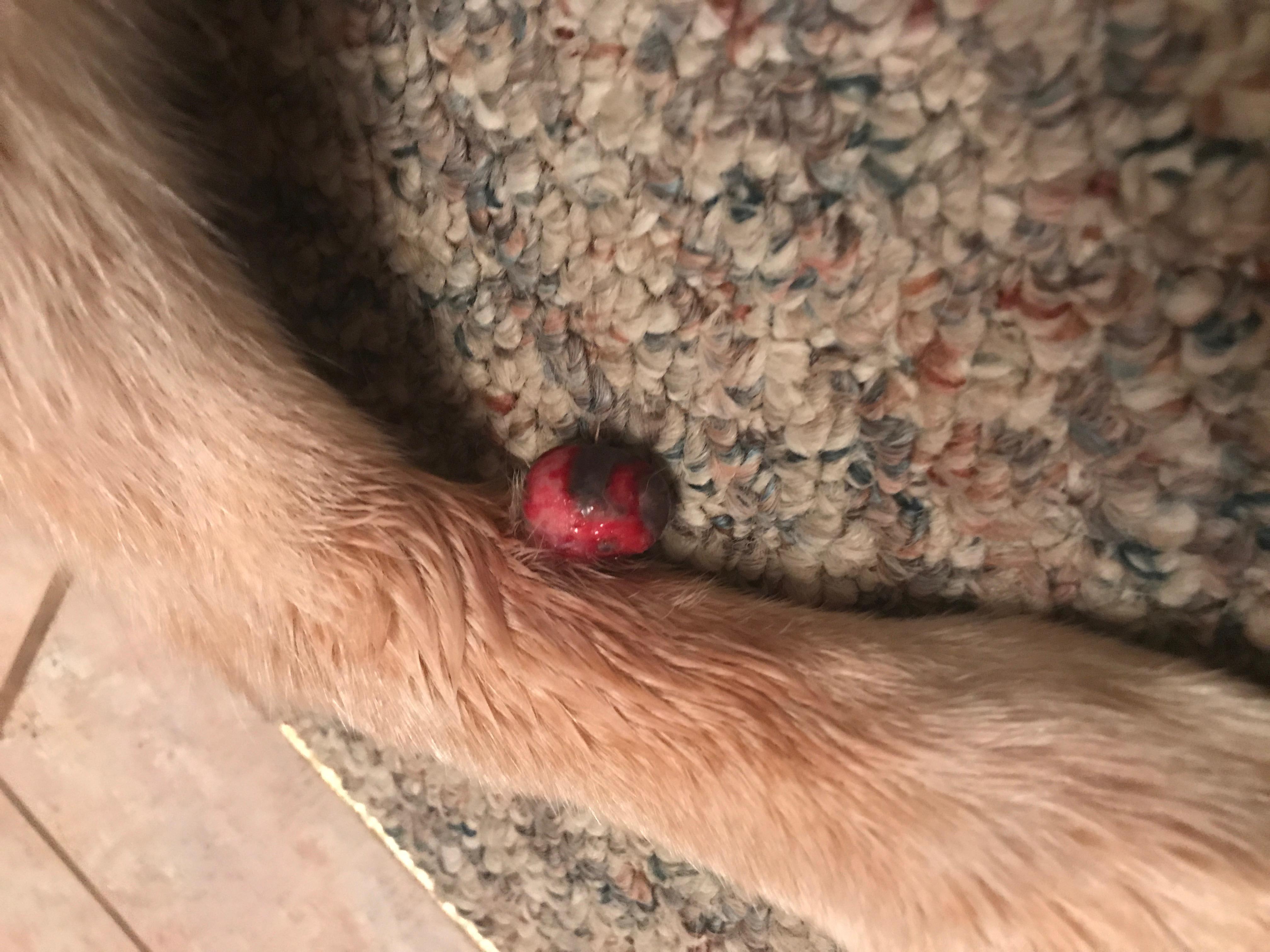 Question details sensitive content