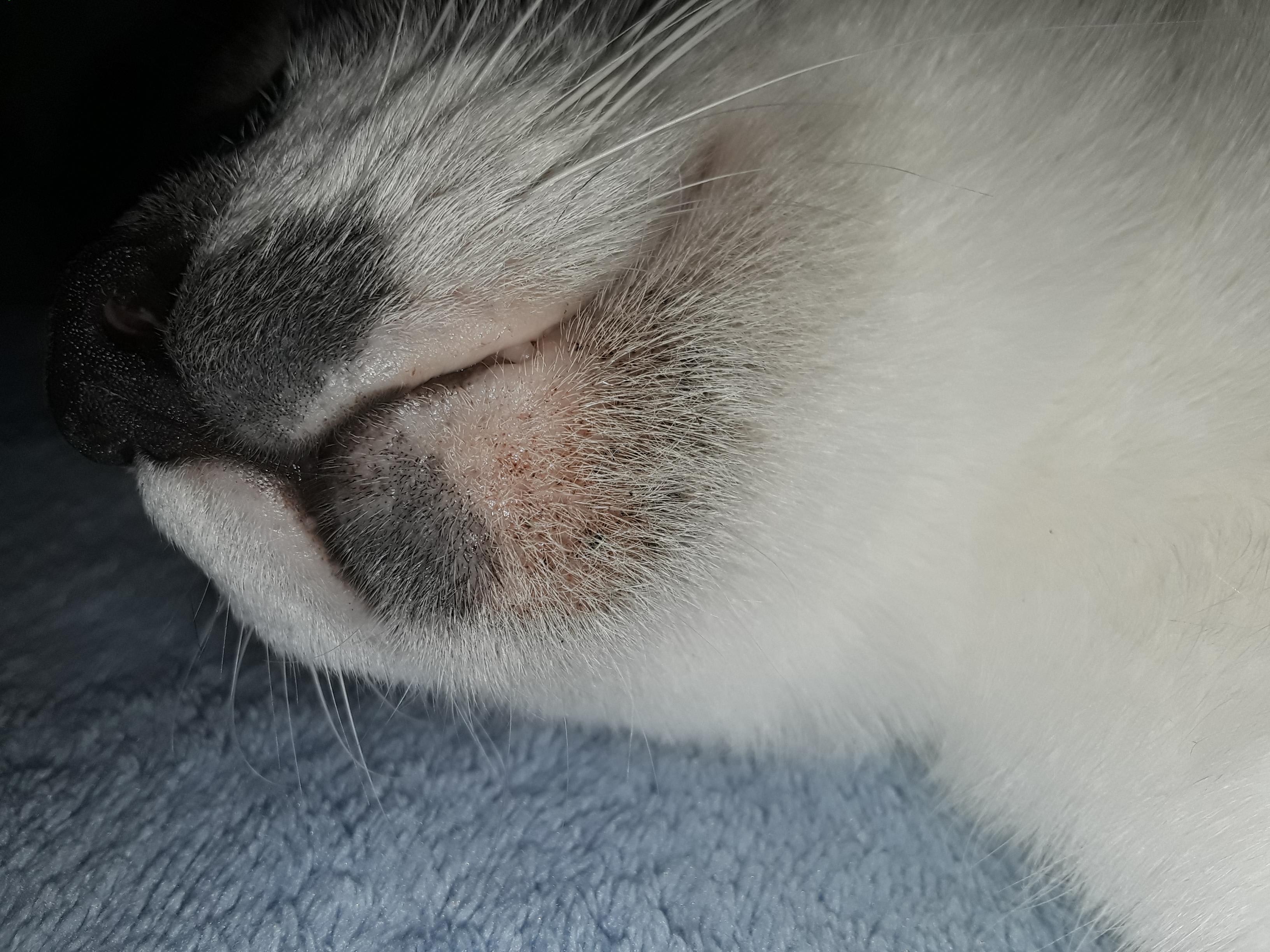 Question details sensitive content