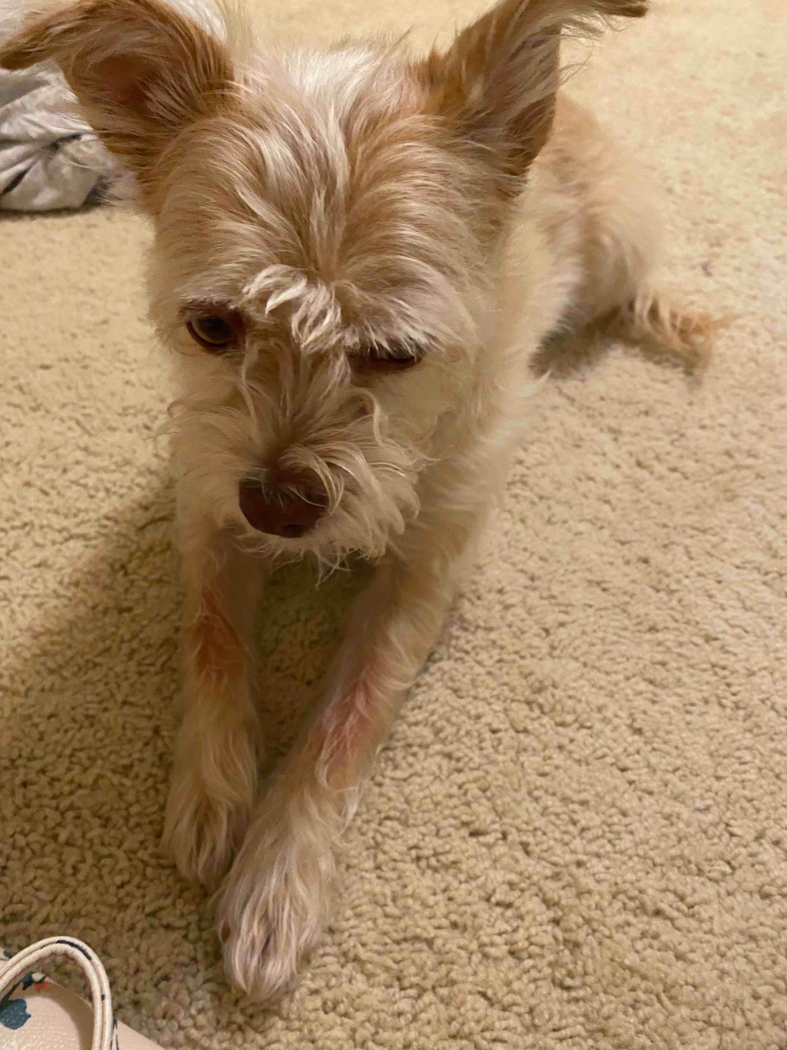 Question details sensitive content