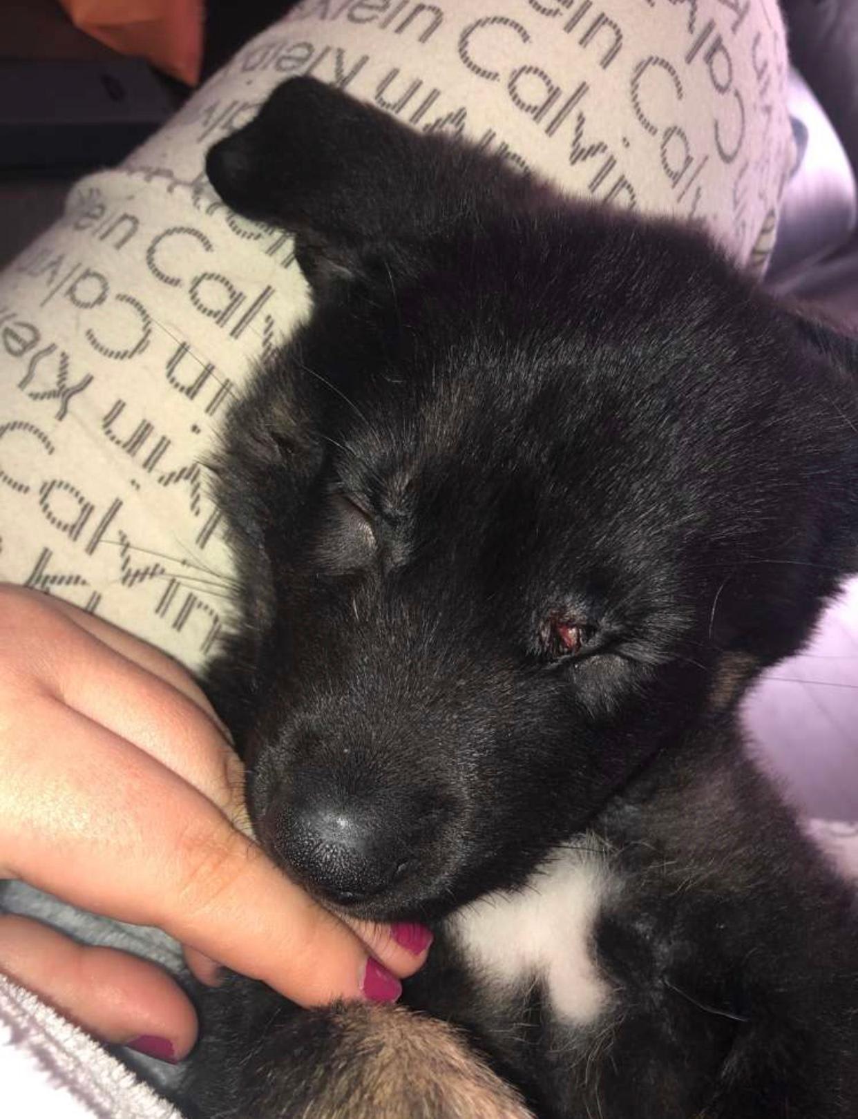 Question details sensitive content