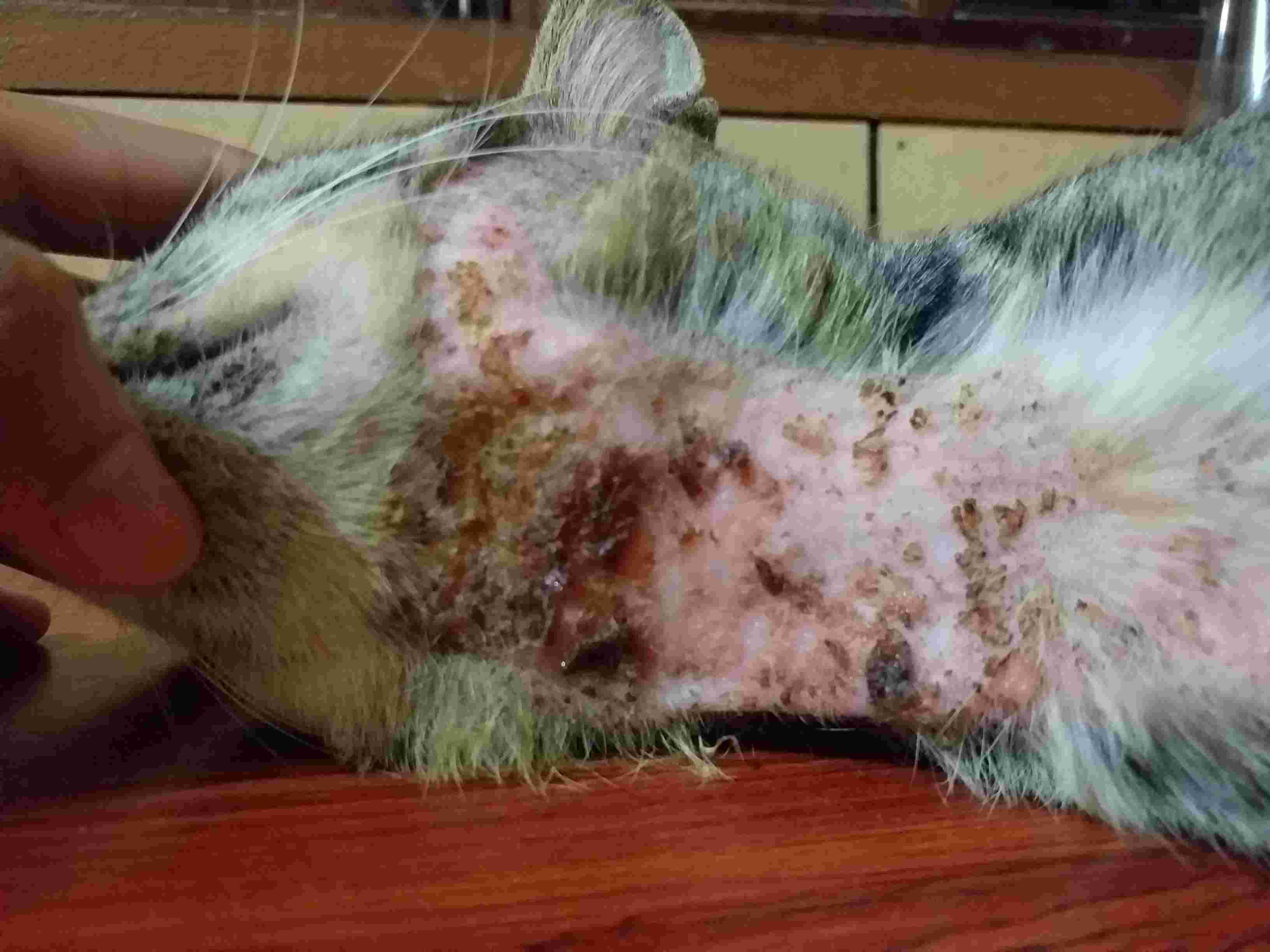 Question details sensitive content