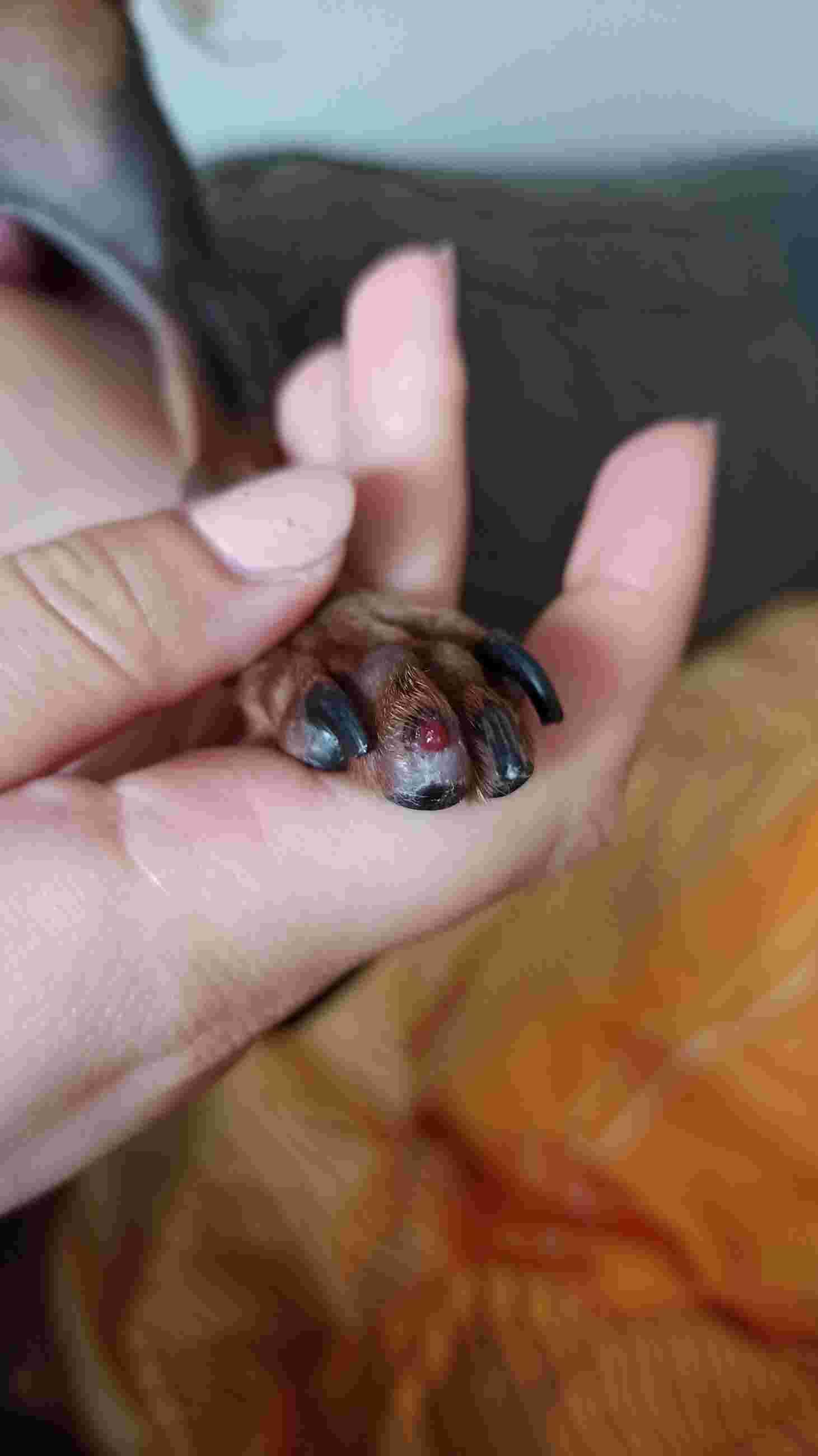 Question details sensitive content