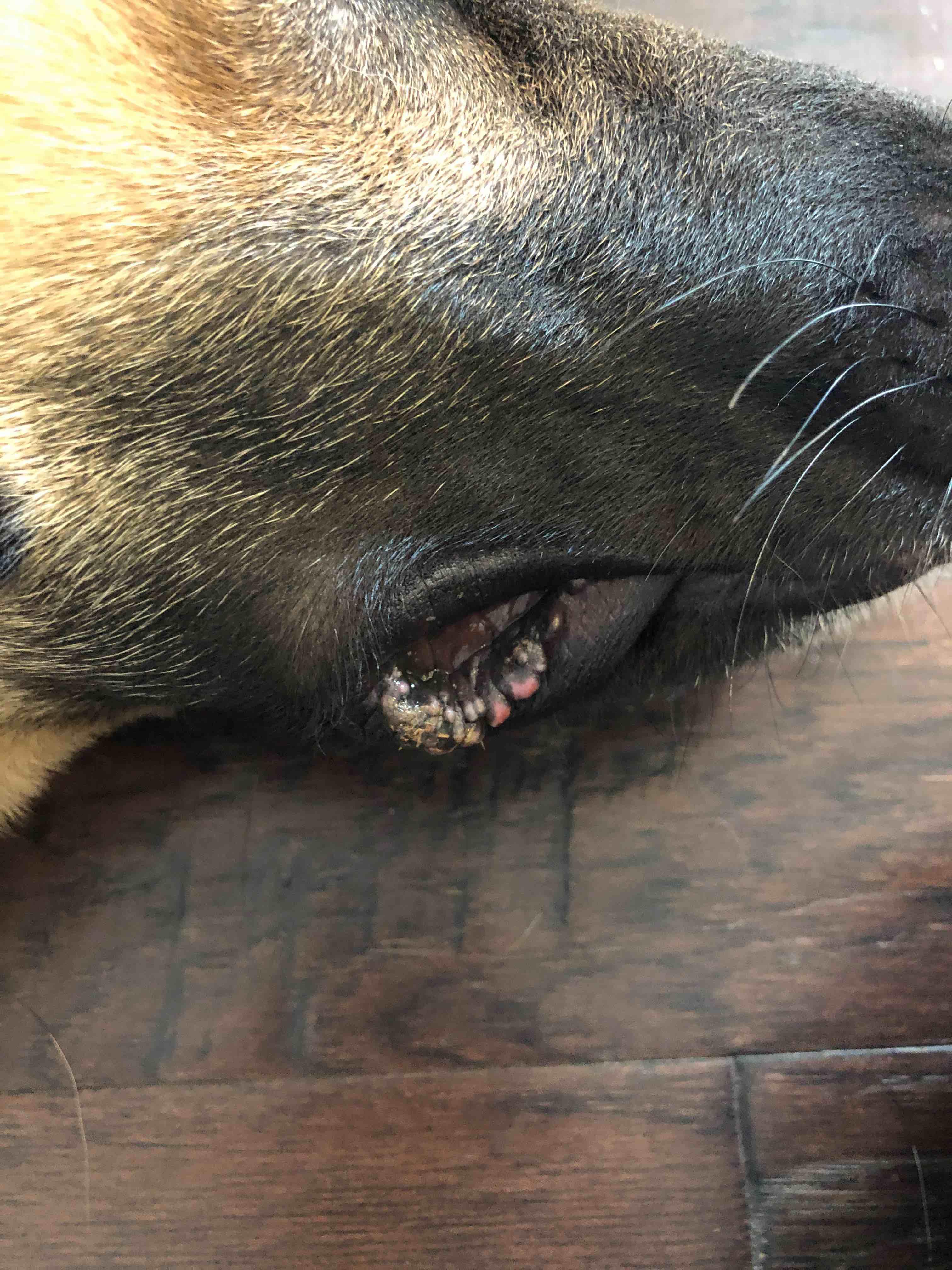 Question details sensitive content