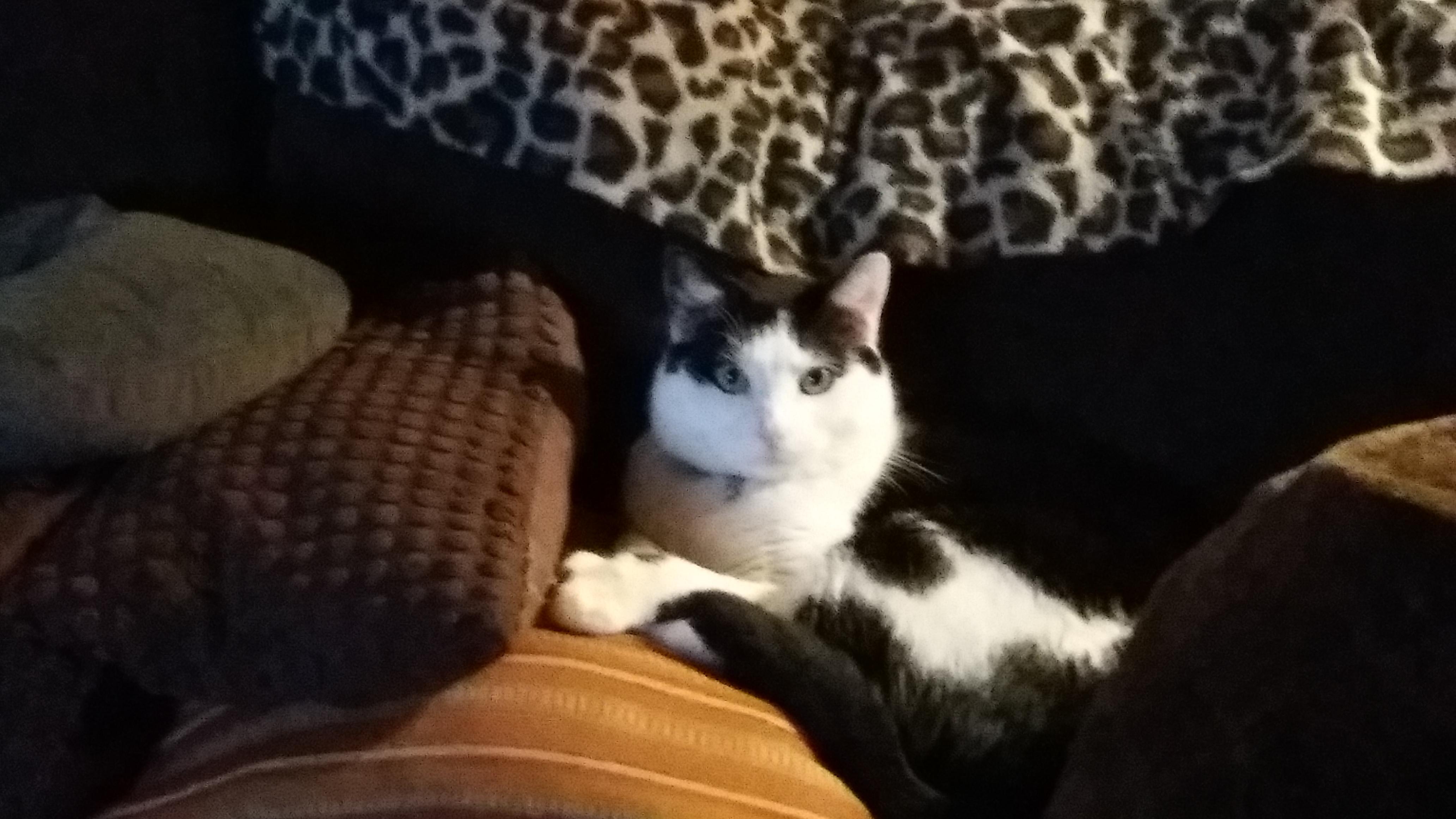 Question details sensitive content