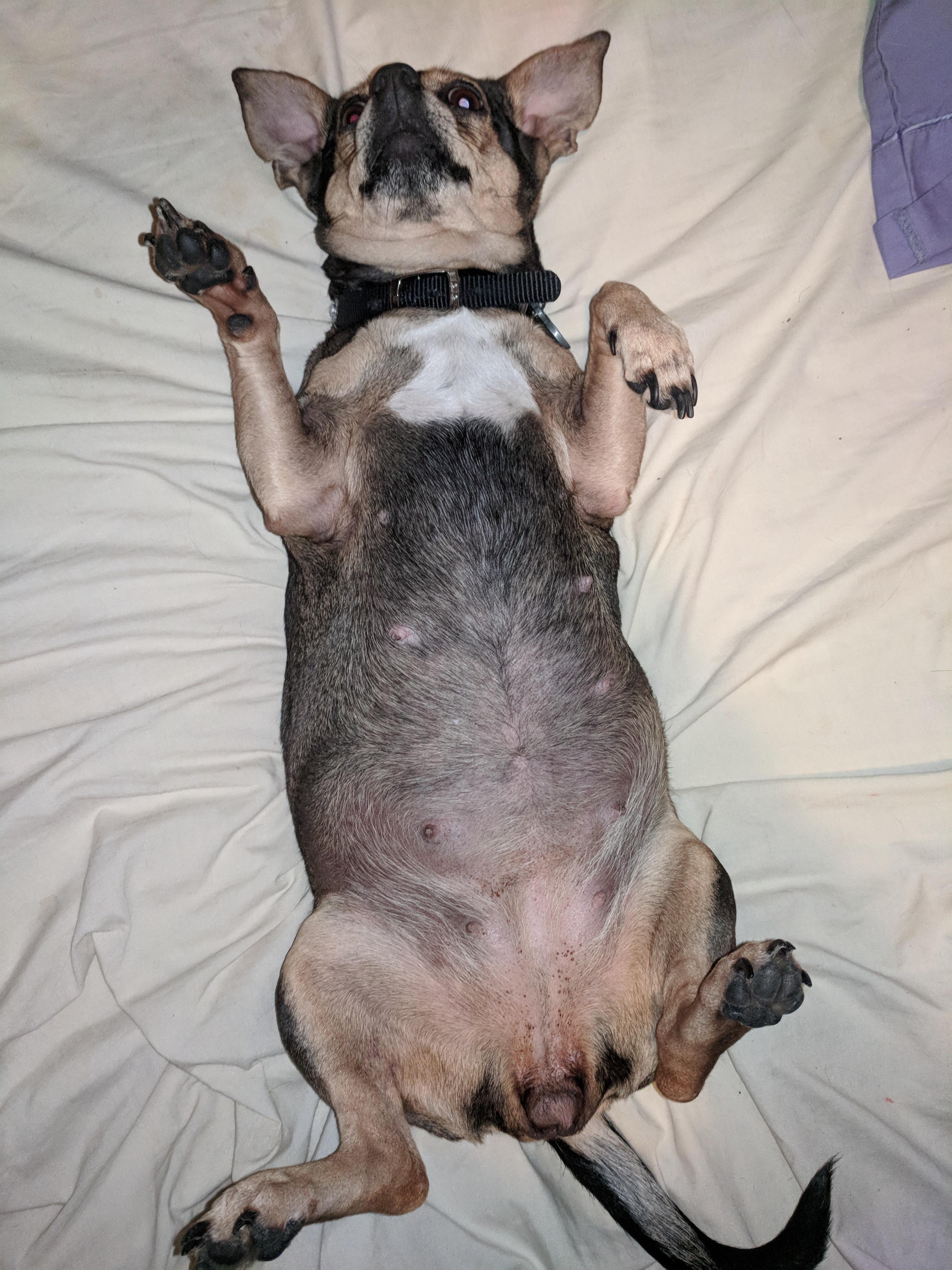 Question details sensitive content