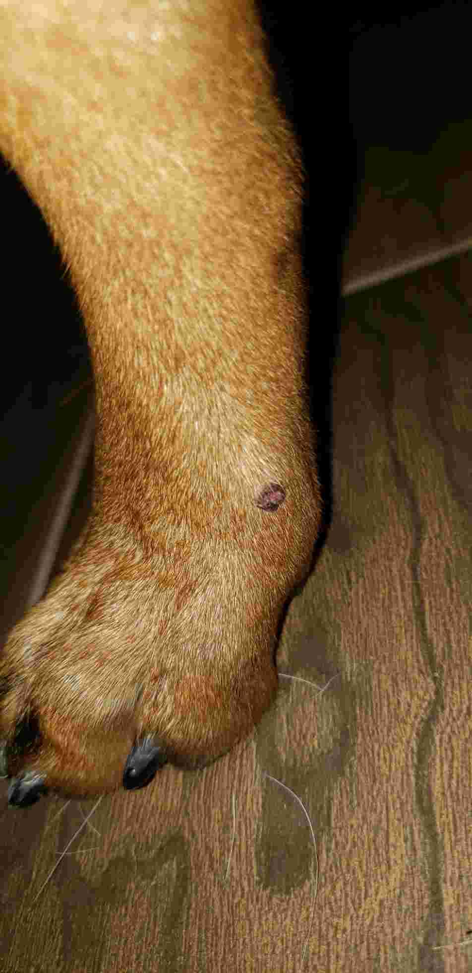 Question details sensitive content