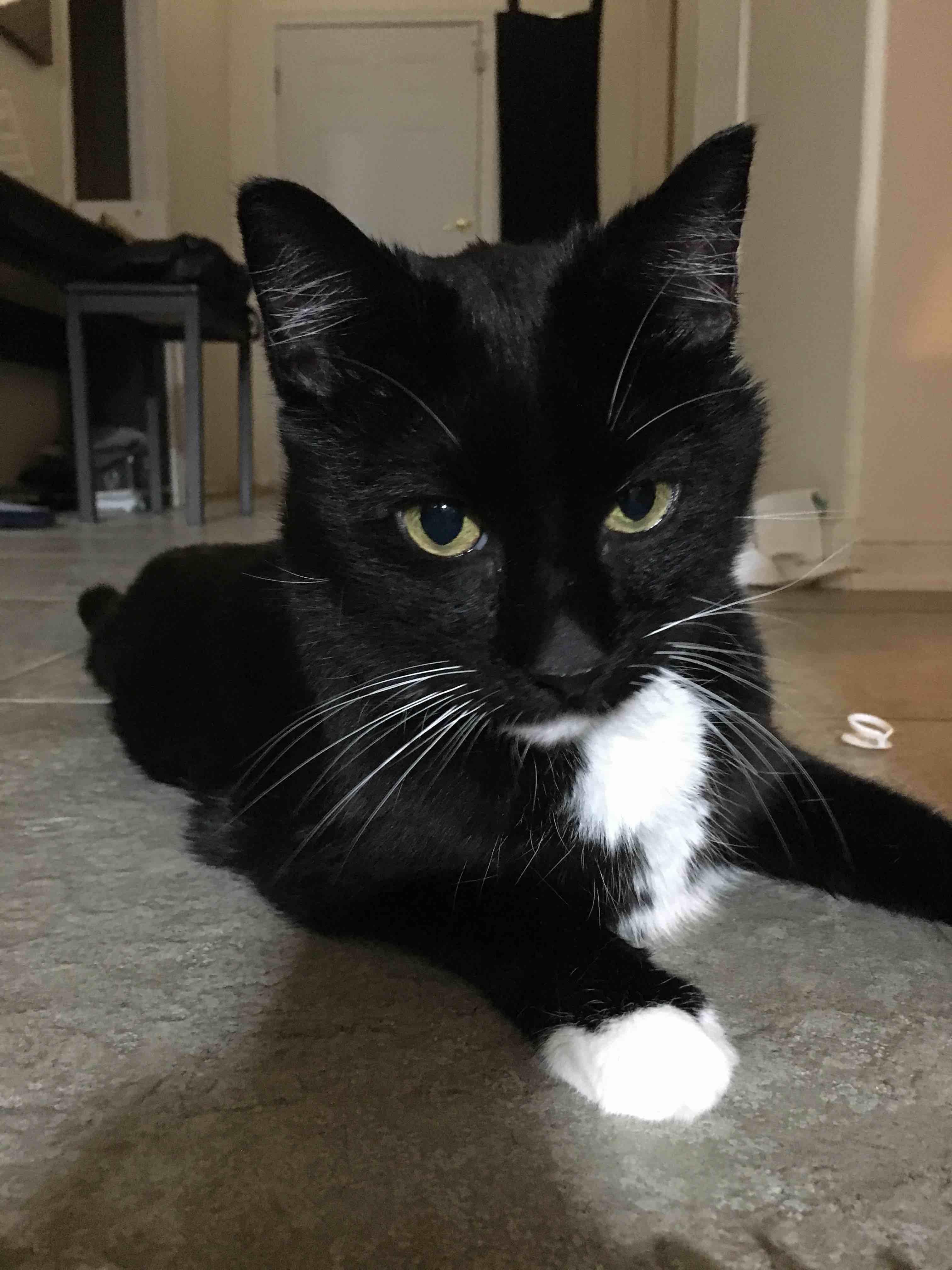 Question details sensitive content