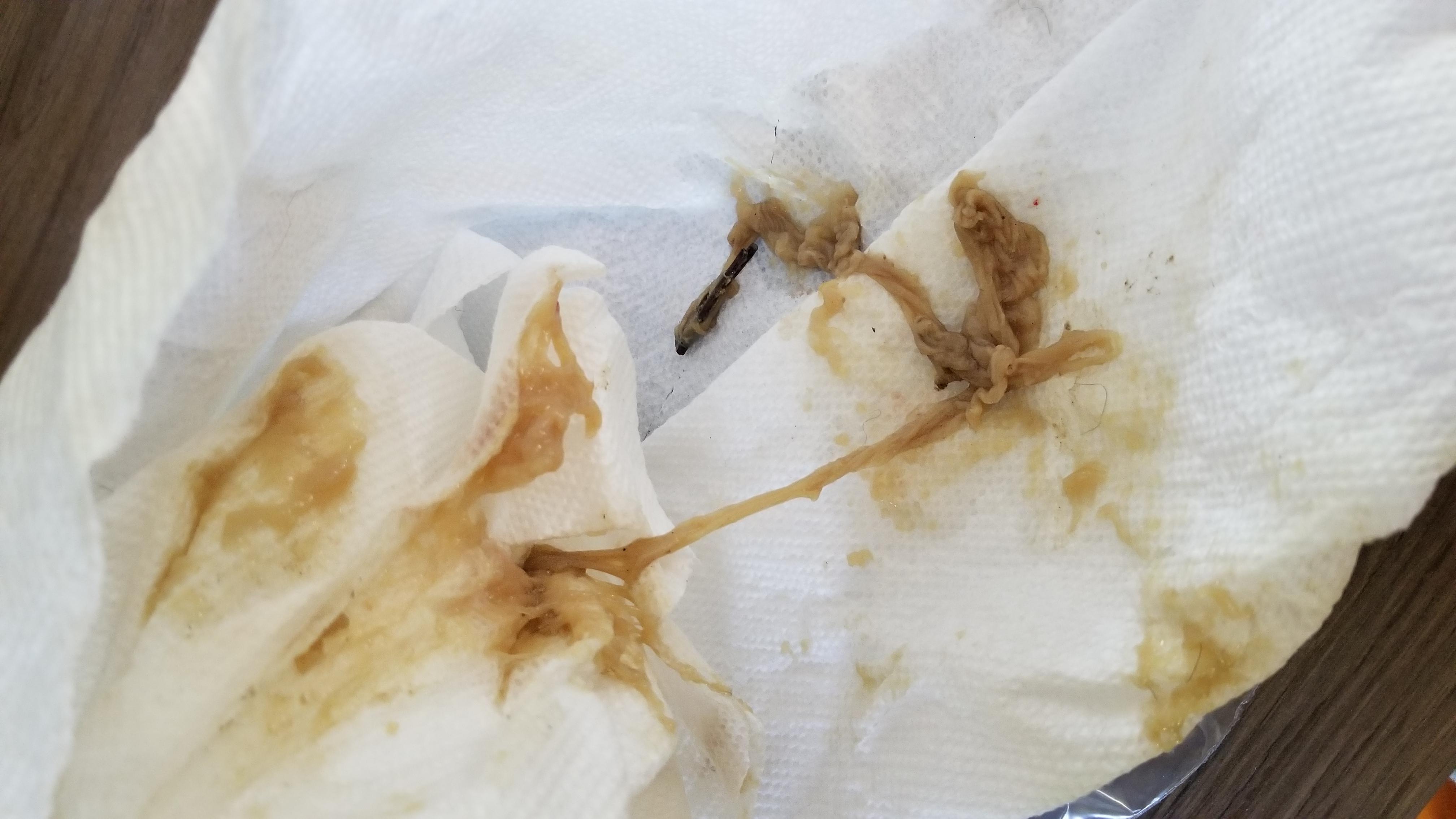 Question details sensitive content