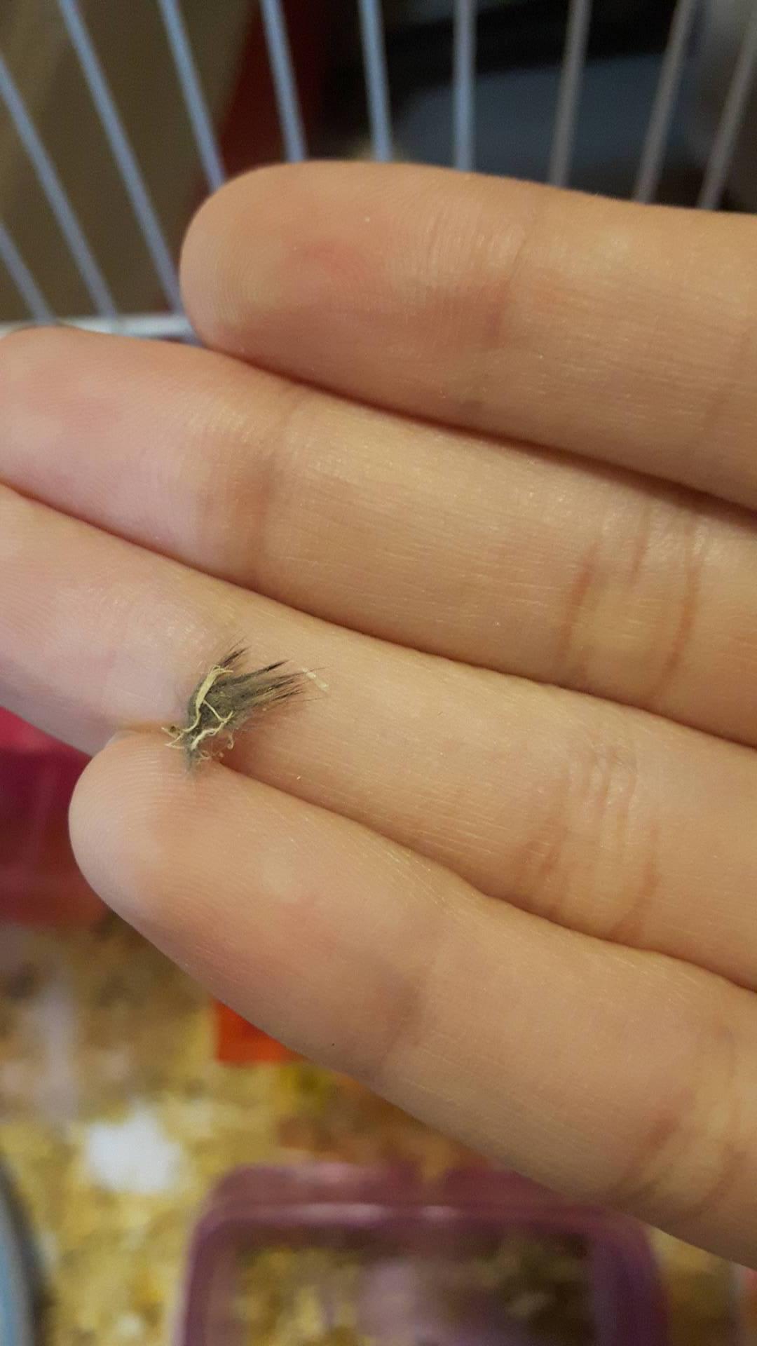 Question details sensitive content