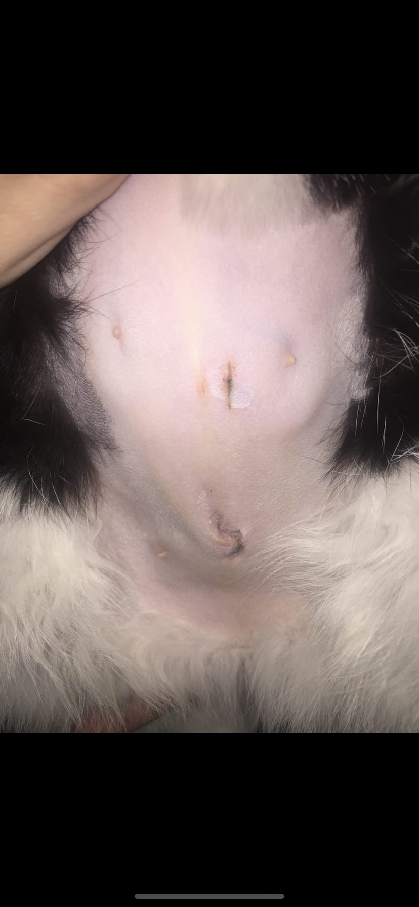 Question details sensitive content