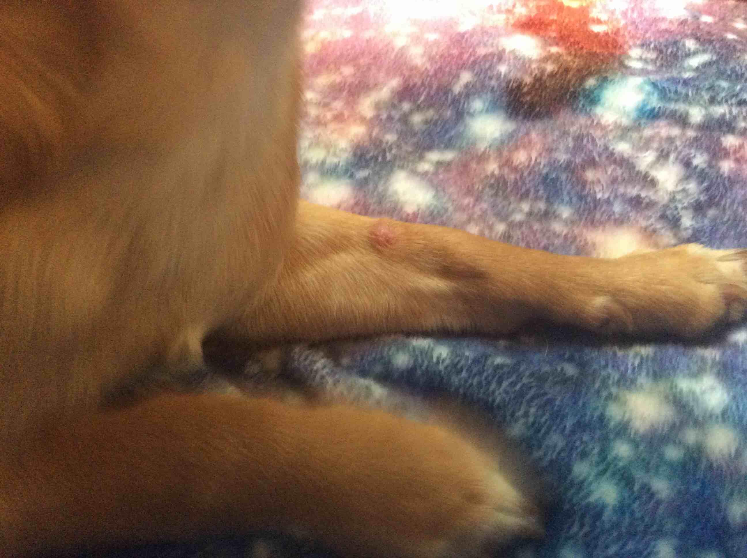 Question details sensitive content