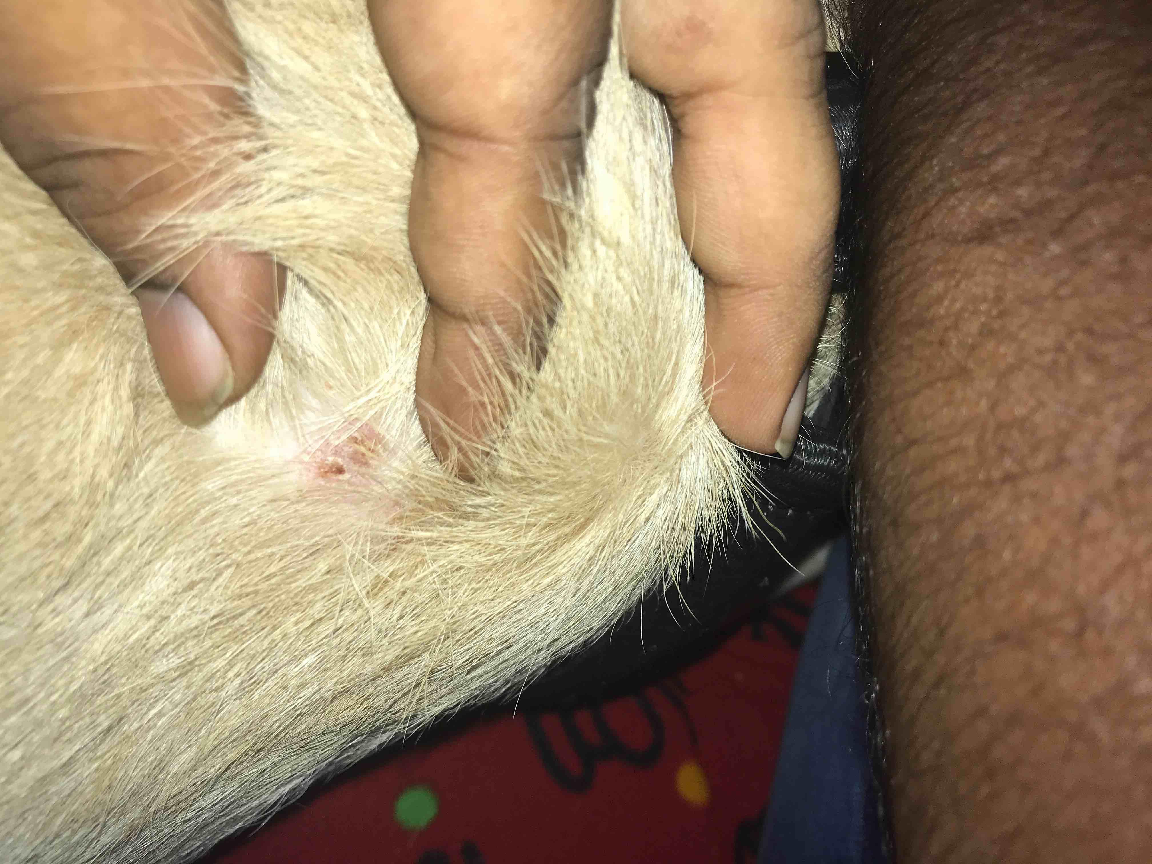 Question details sensitive content