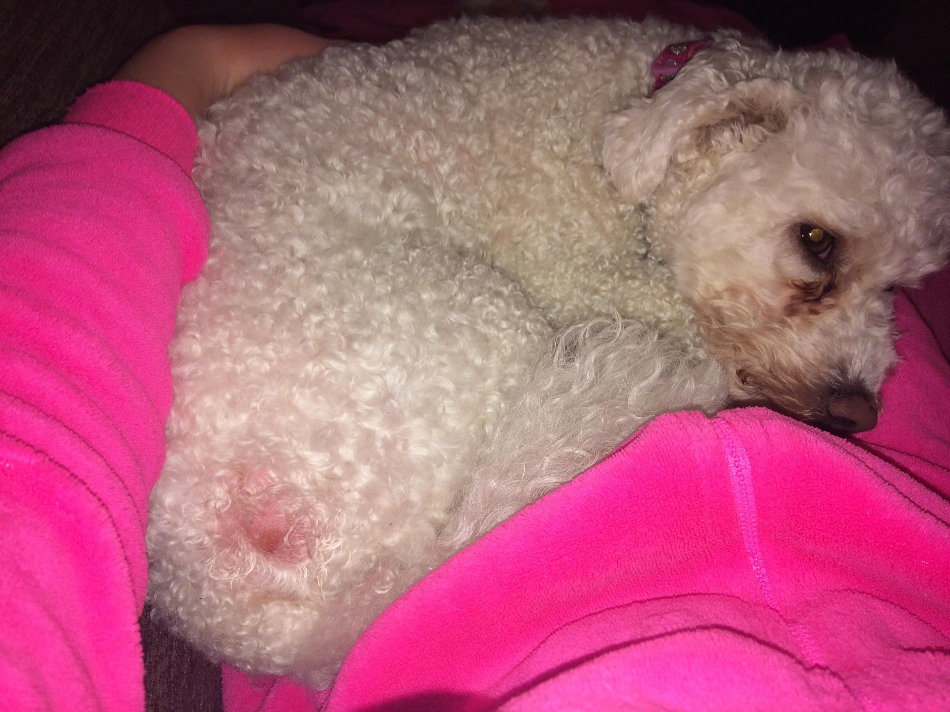 Question details sensitive content