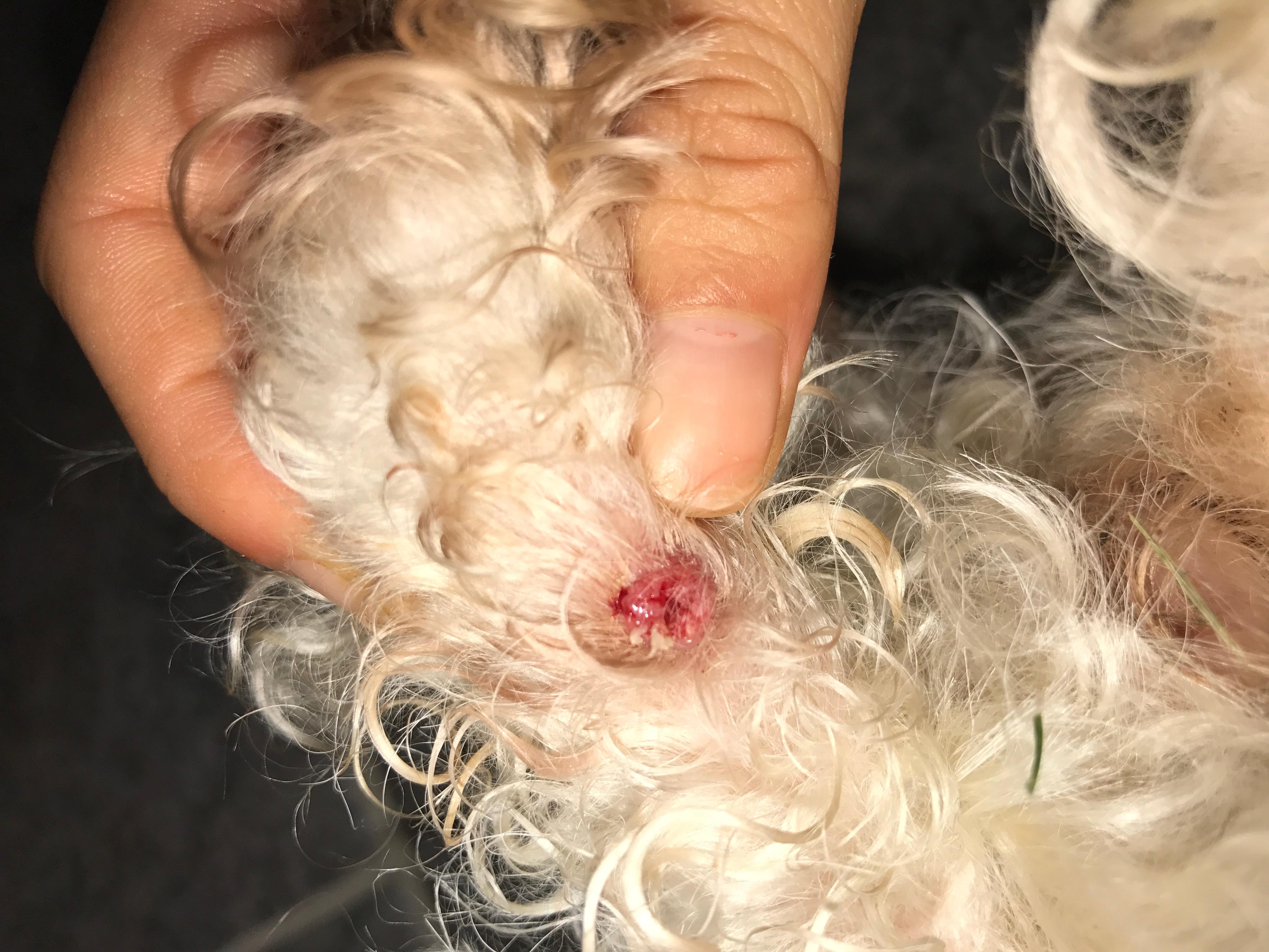 Question details sensitive content