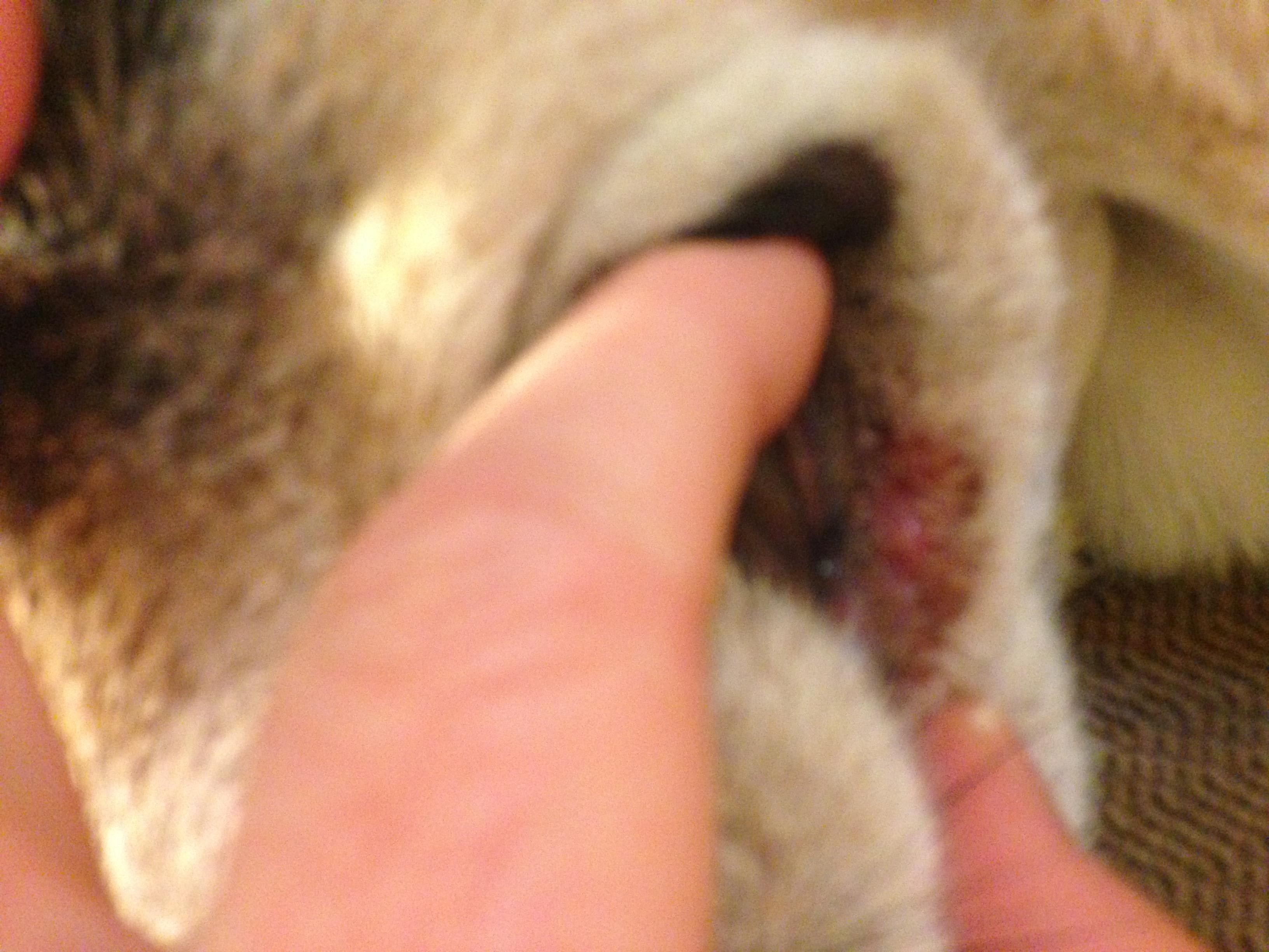 Question details sensitive content