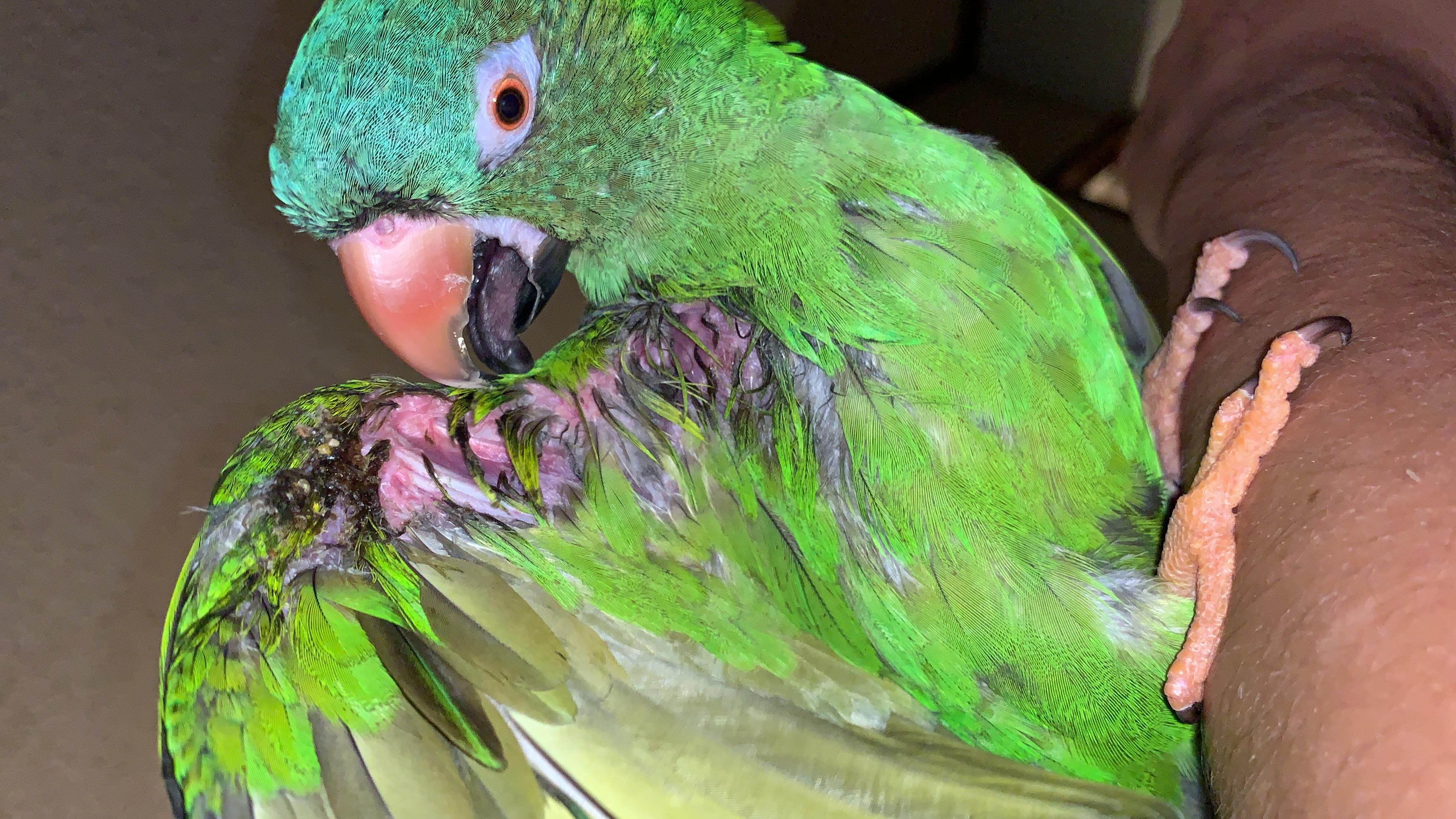 Question details sensitive content