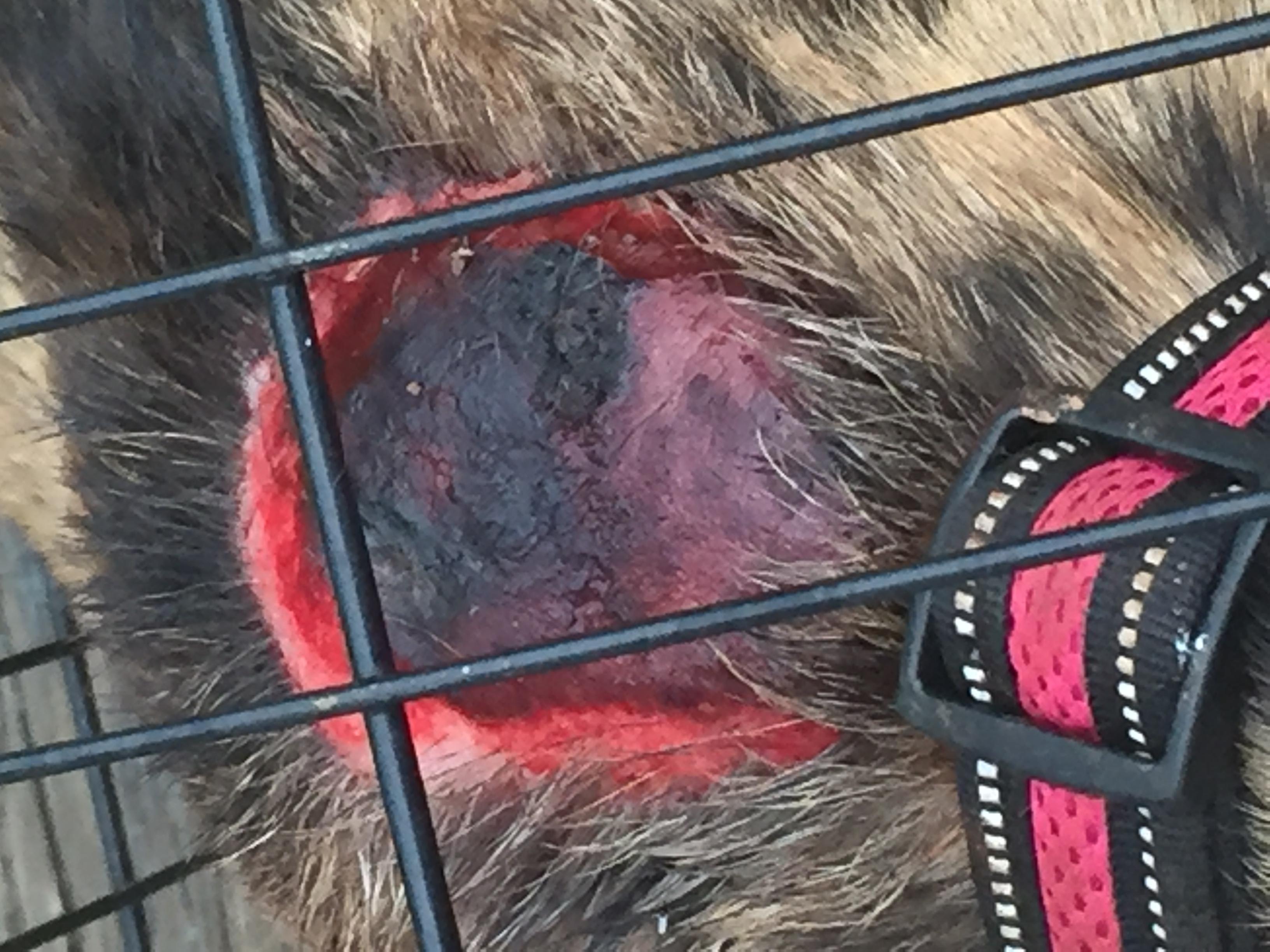 Question details sensitive content